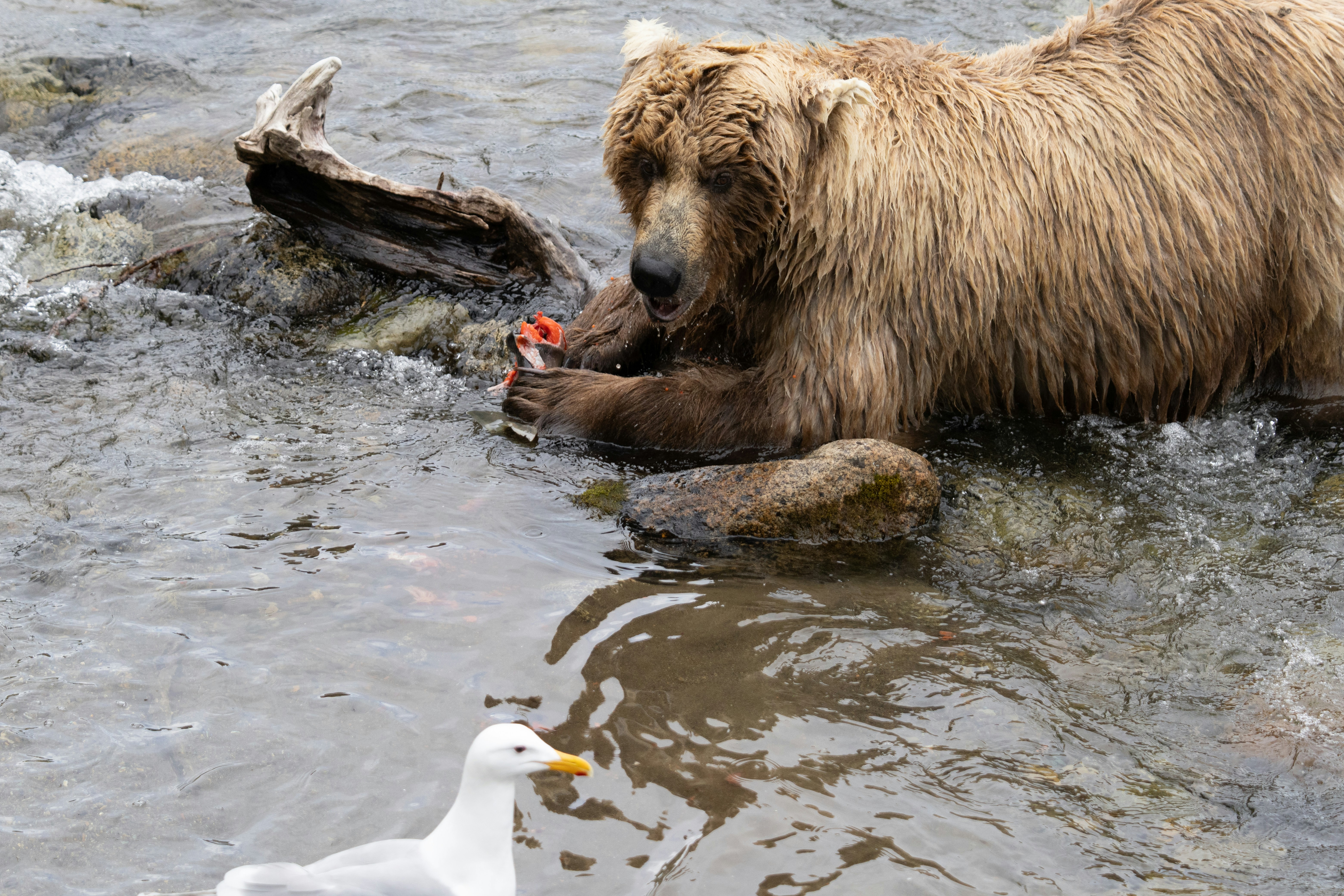 Photo by frankynevermore