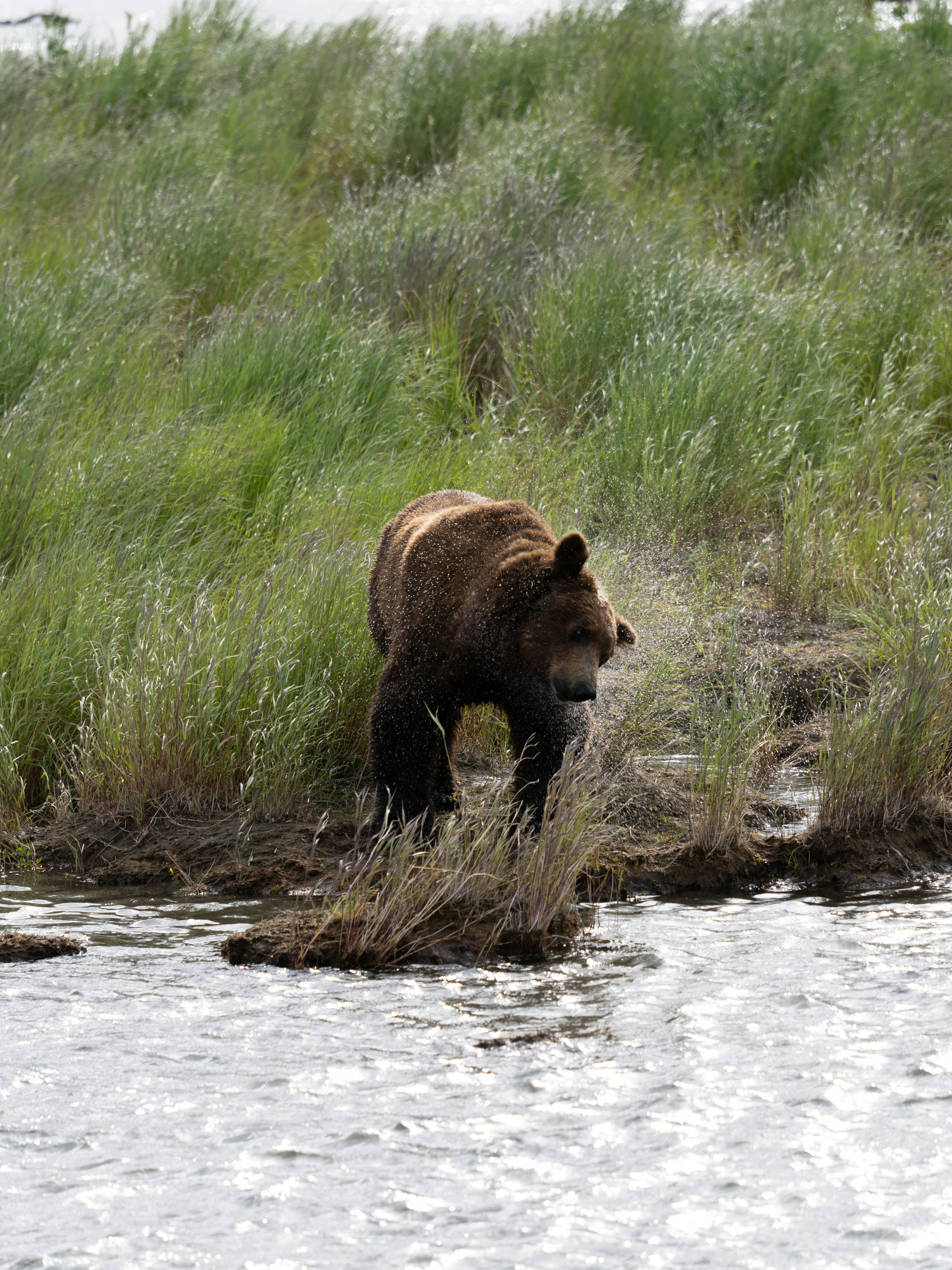 Photo by frankynevermore