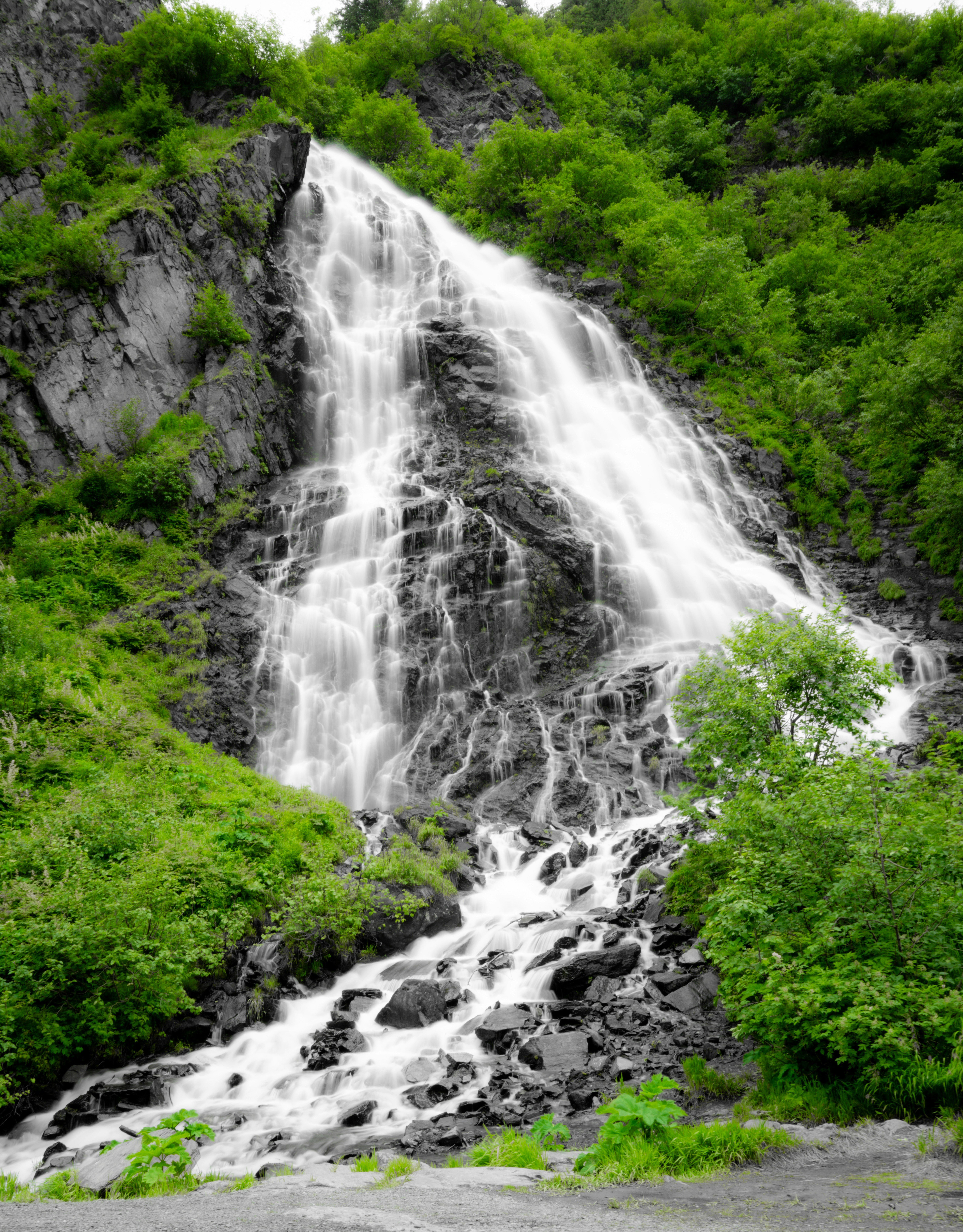 Photo by frankynevermore