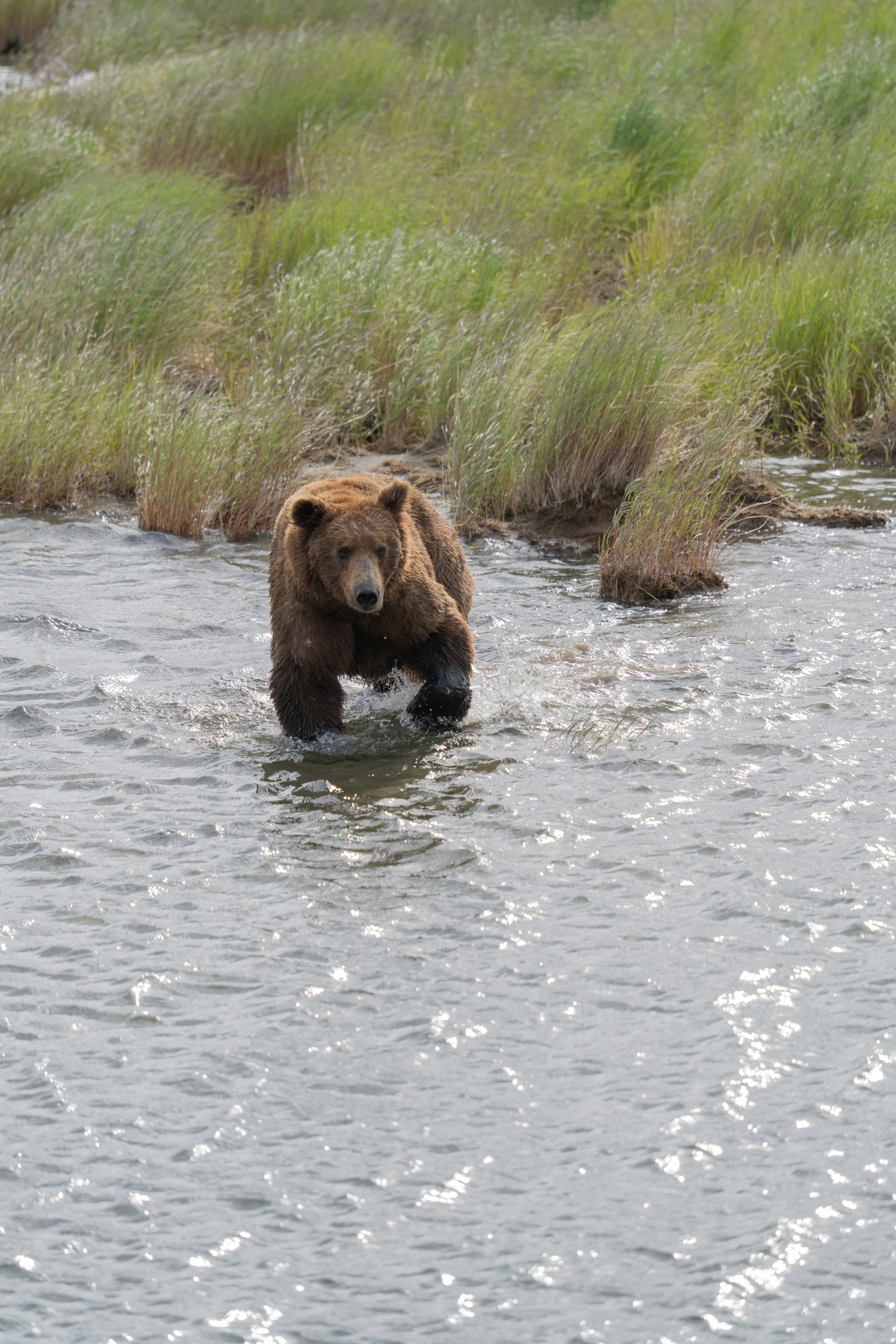 Photo by frankynevermore