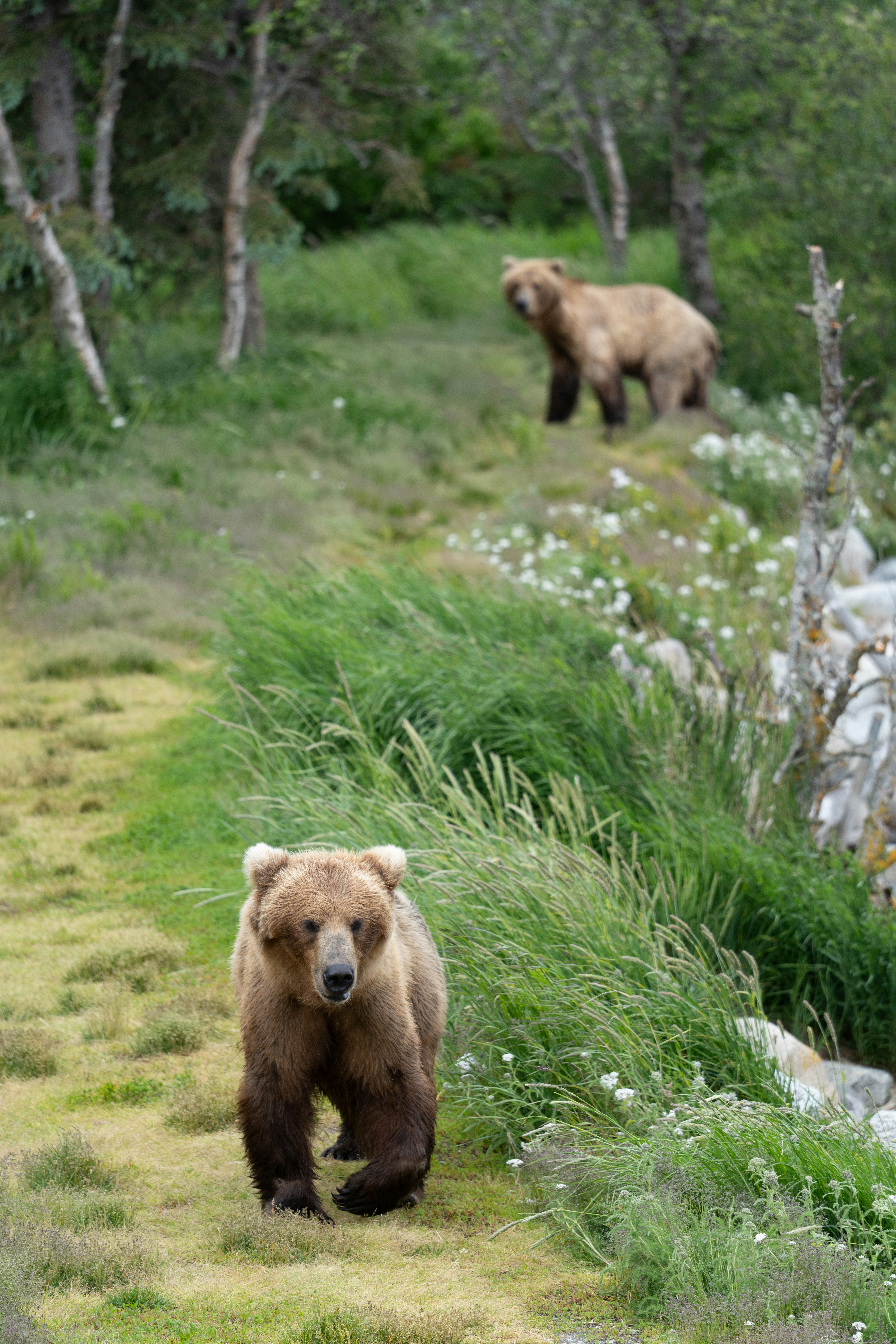 Photo by frankynevermore