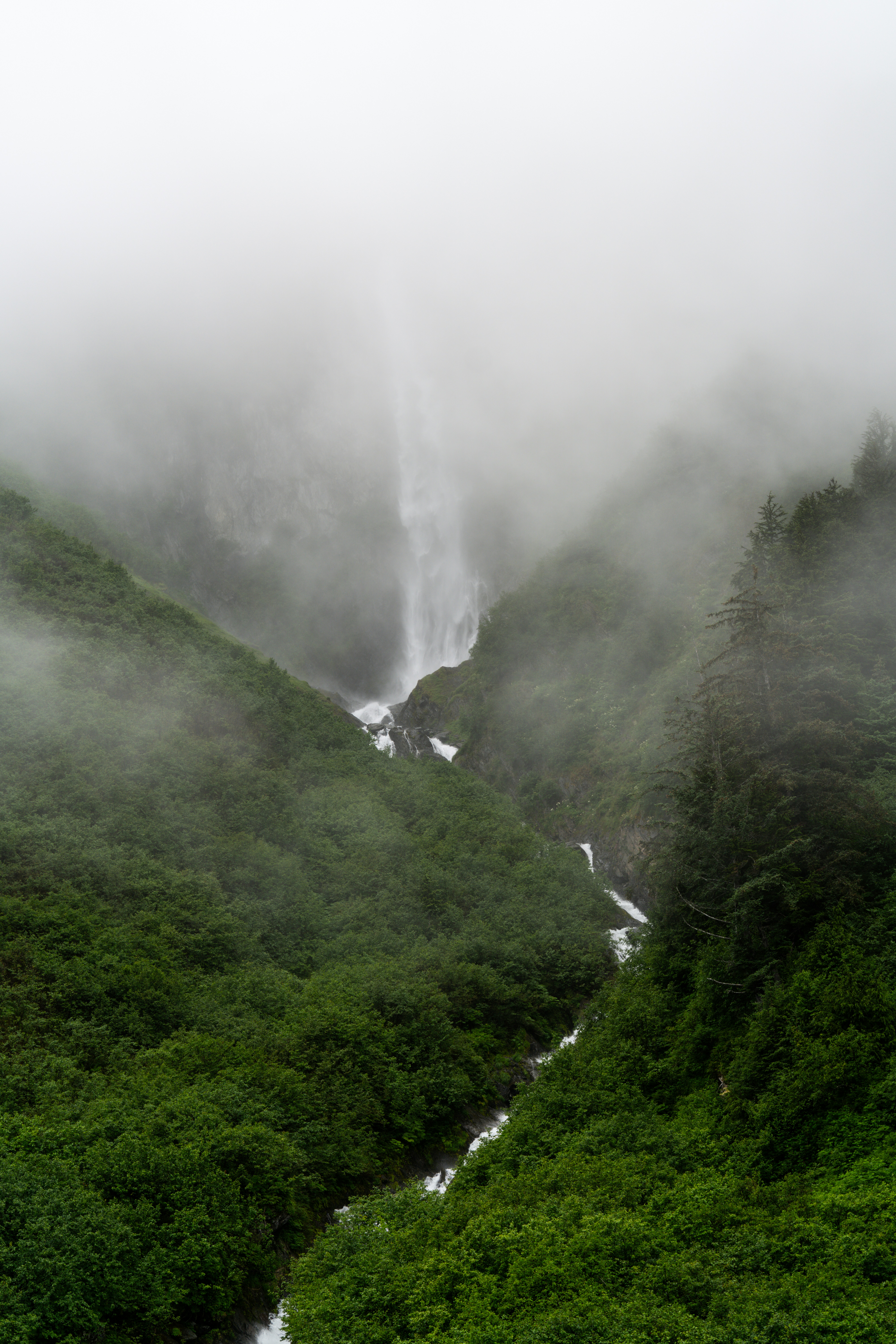 Photo by frankynevermore