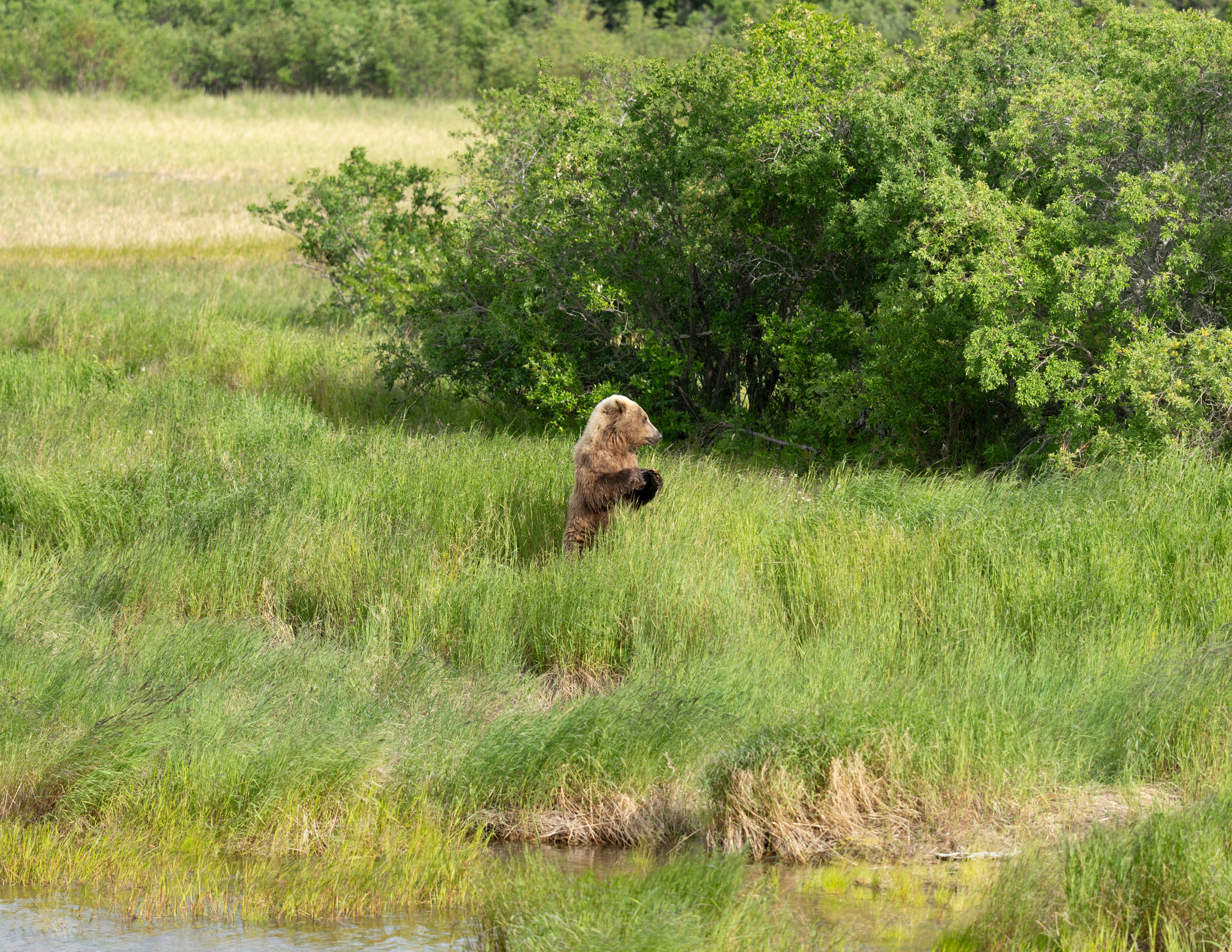 Photo by frankynevermore