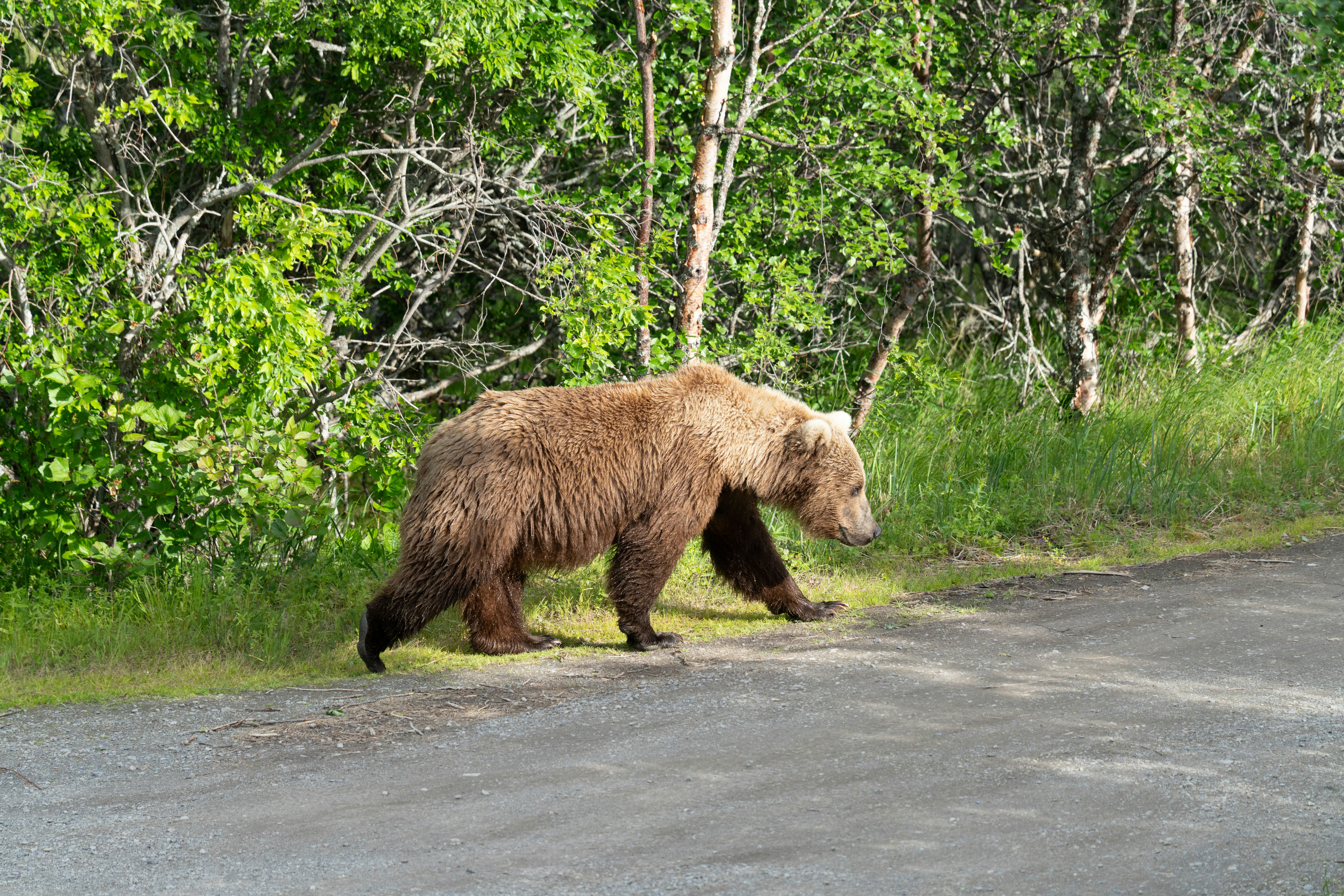 Photo by frankynevermore