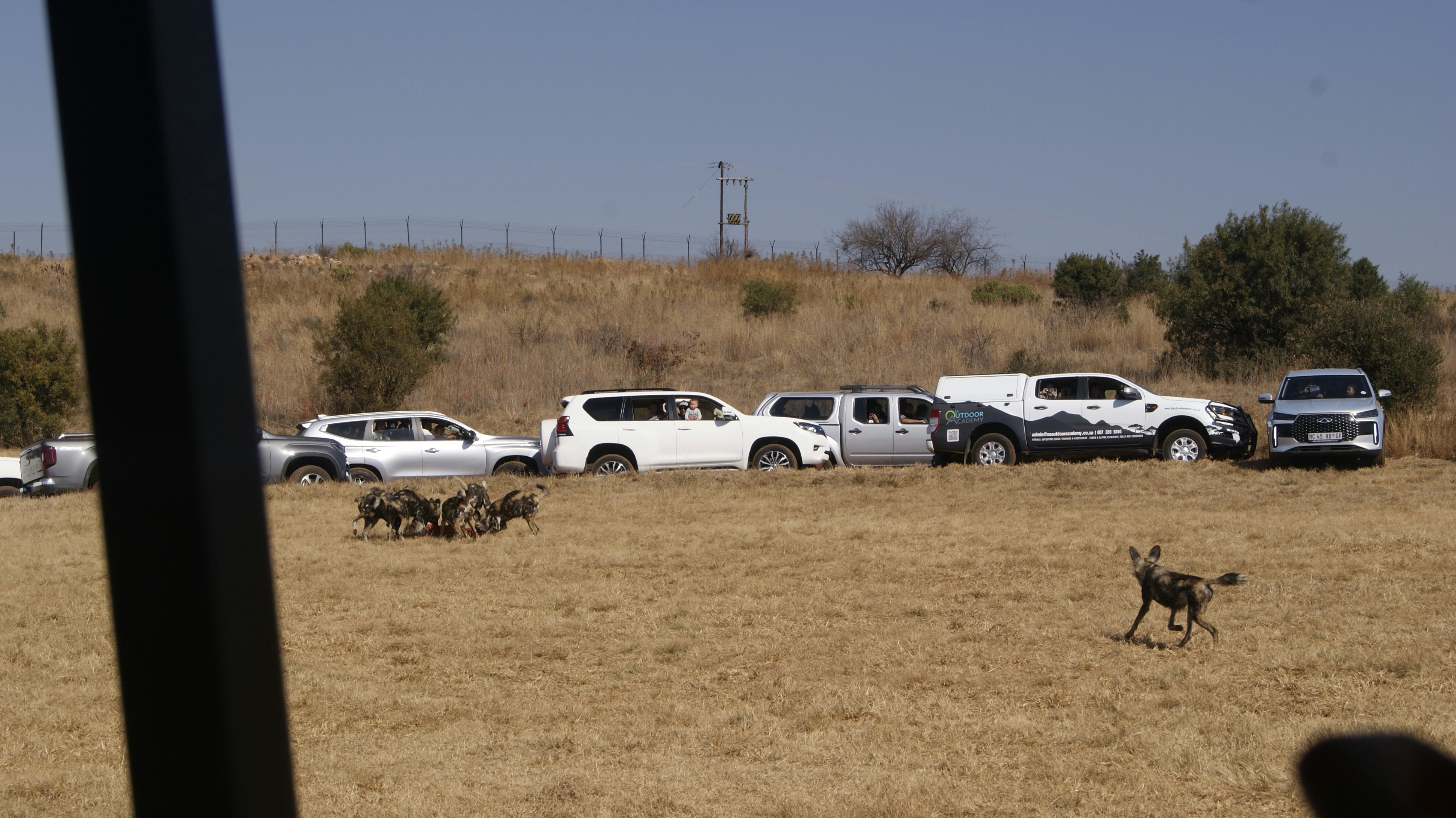 South Africa: Foot and Mouth Disease Cases in North West Rise to 179
