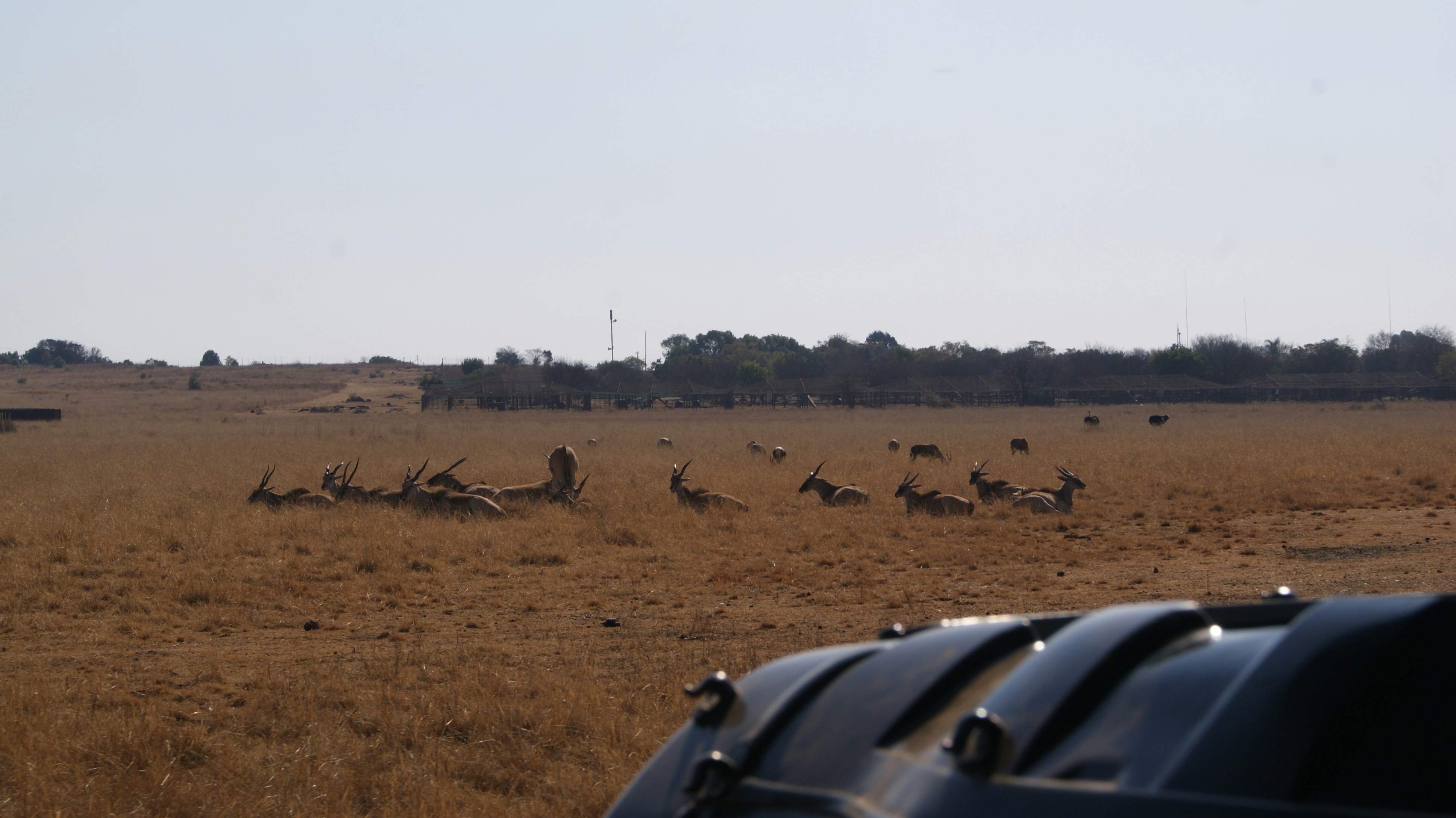 Photo by mtho_nature