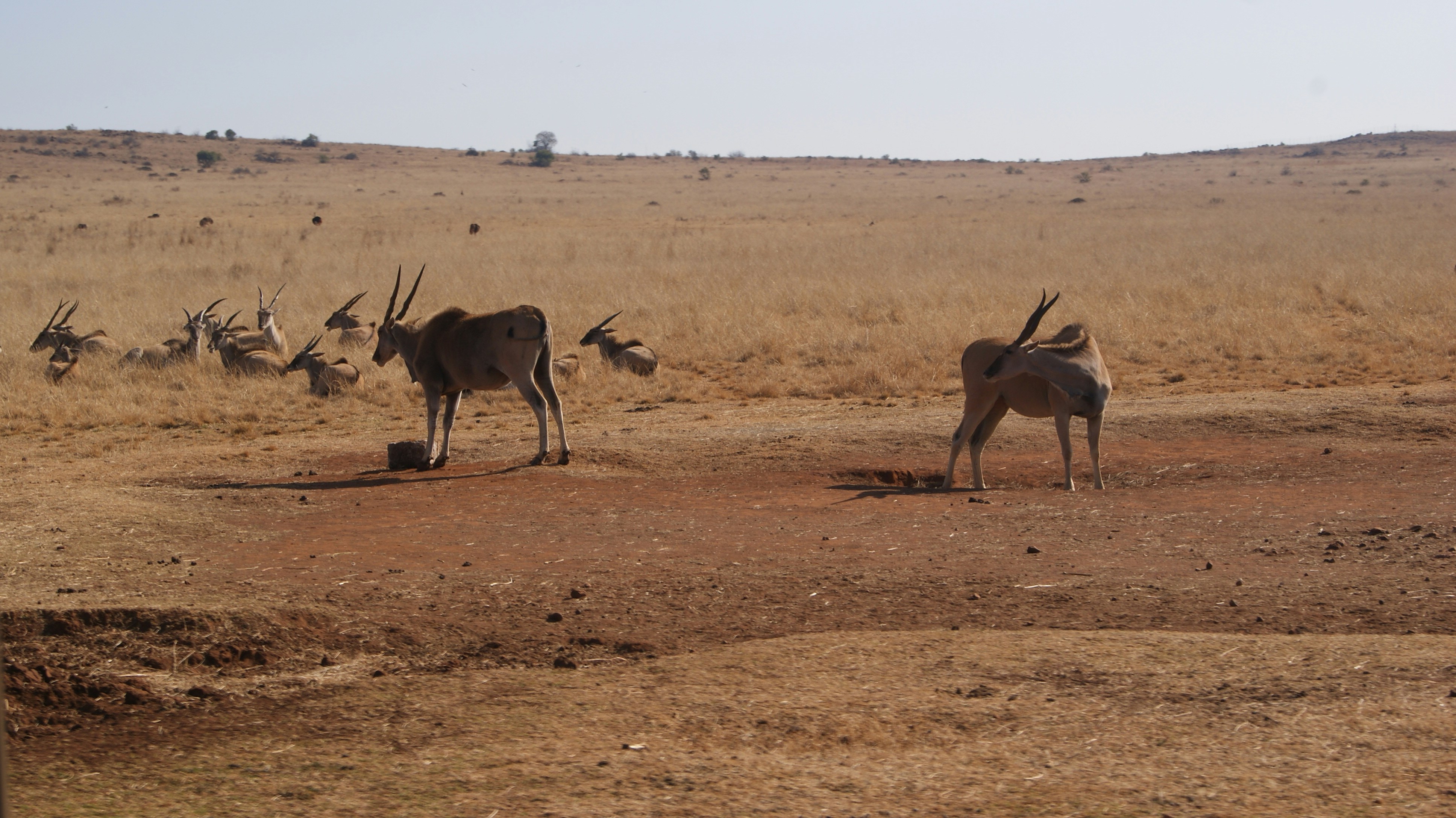 Photo by mtho_nature