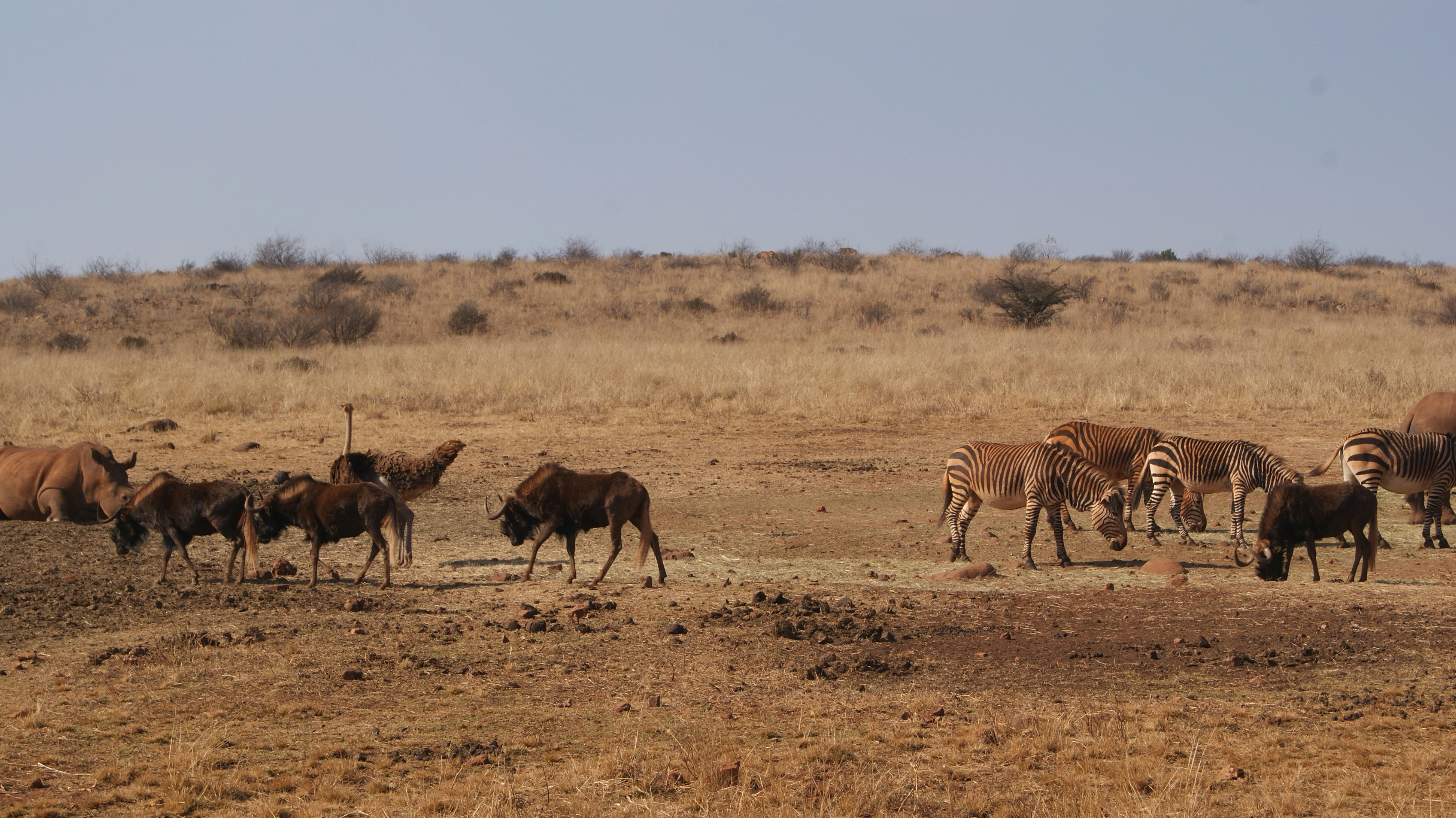 Photo by mtho_nature