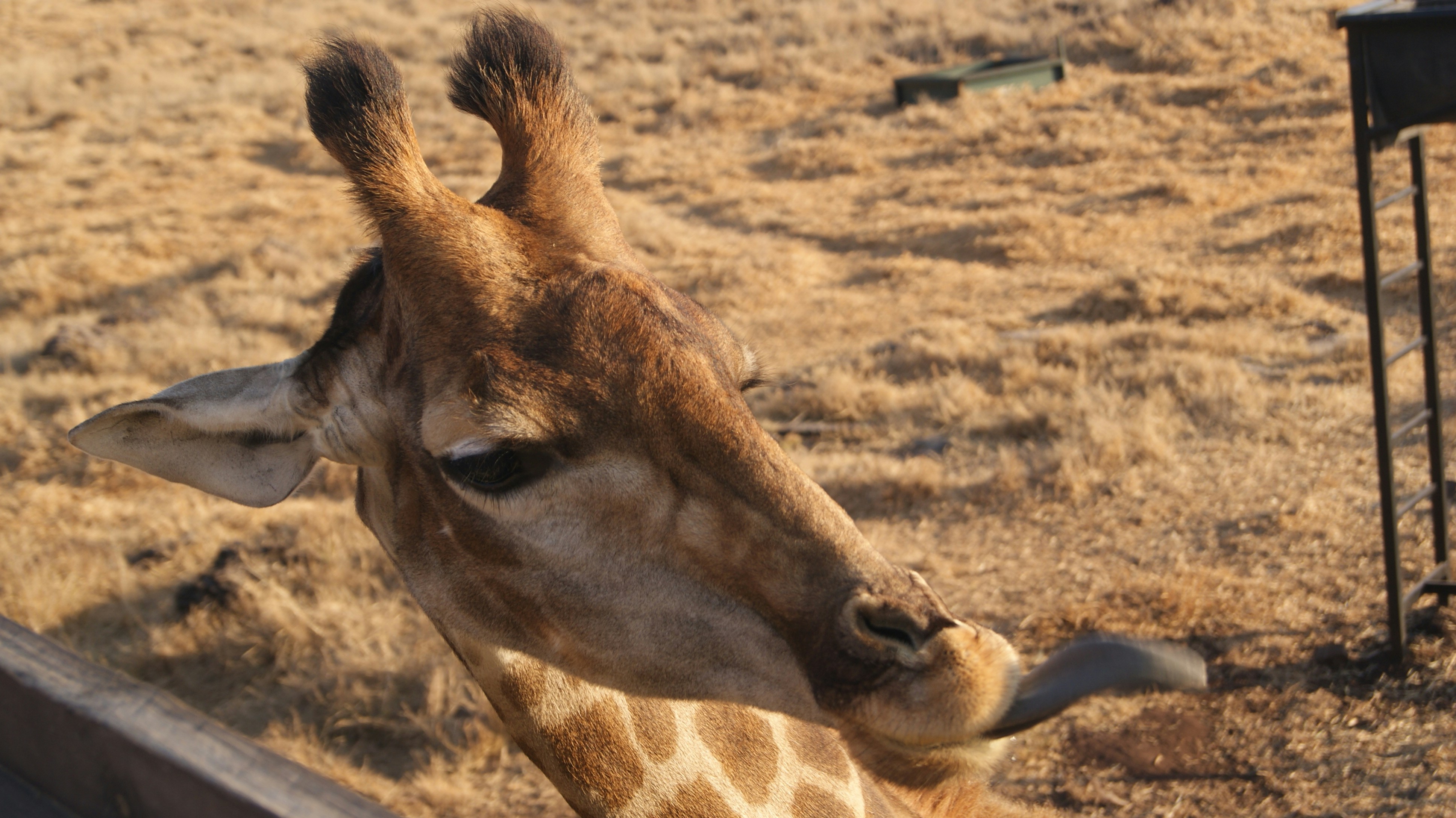 Photo by mtho_nature