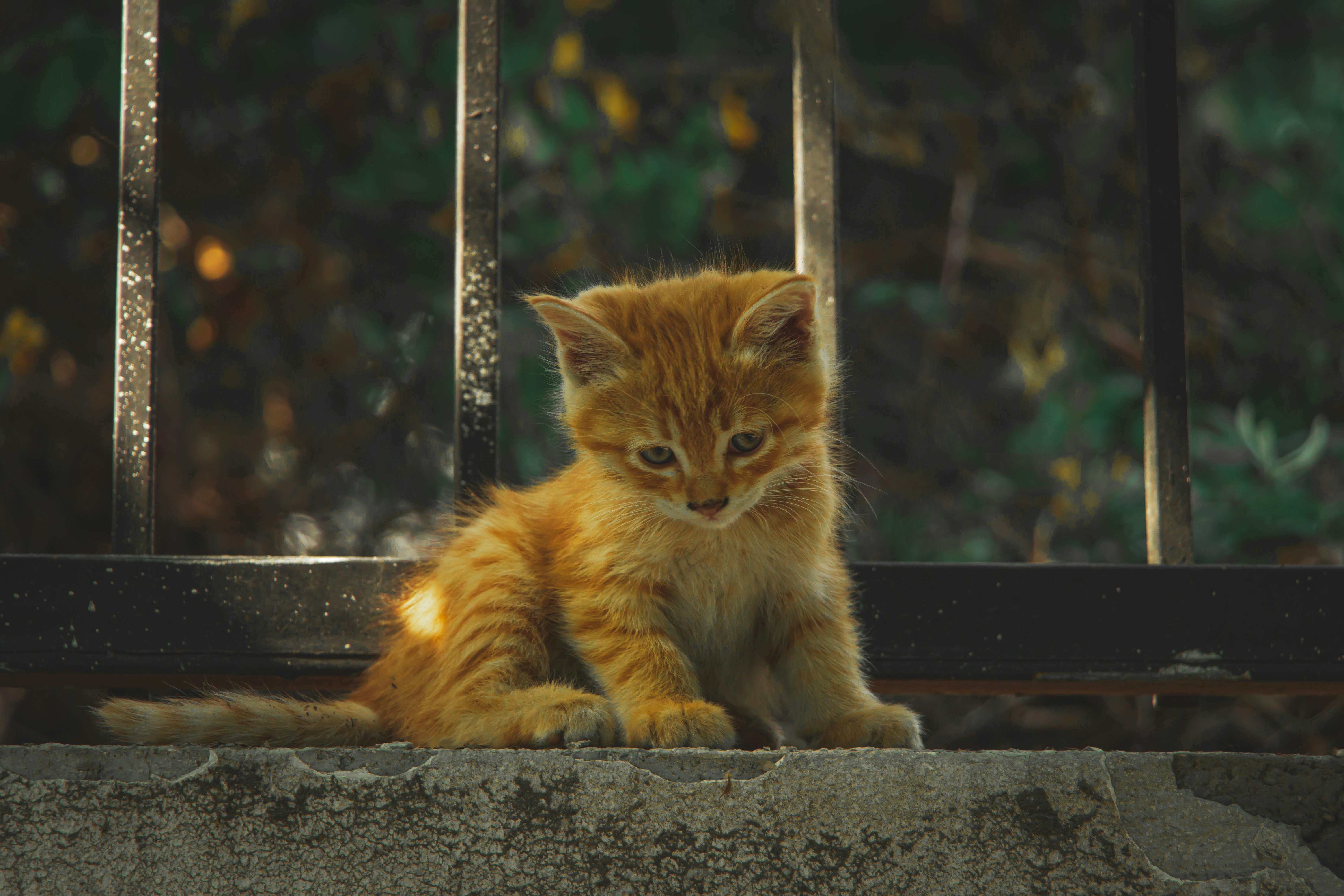 Photo by s_arshia_nzm