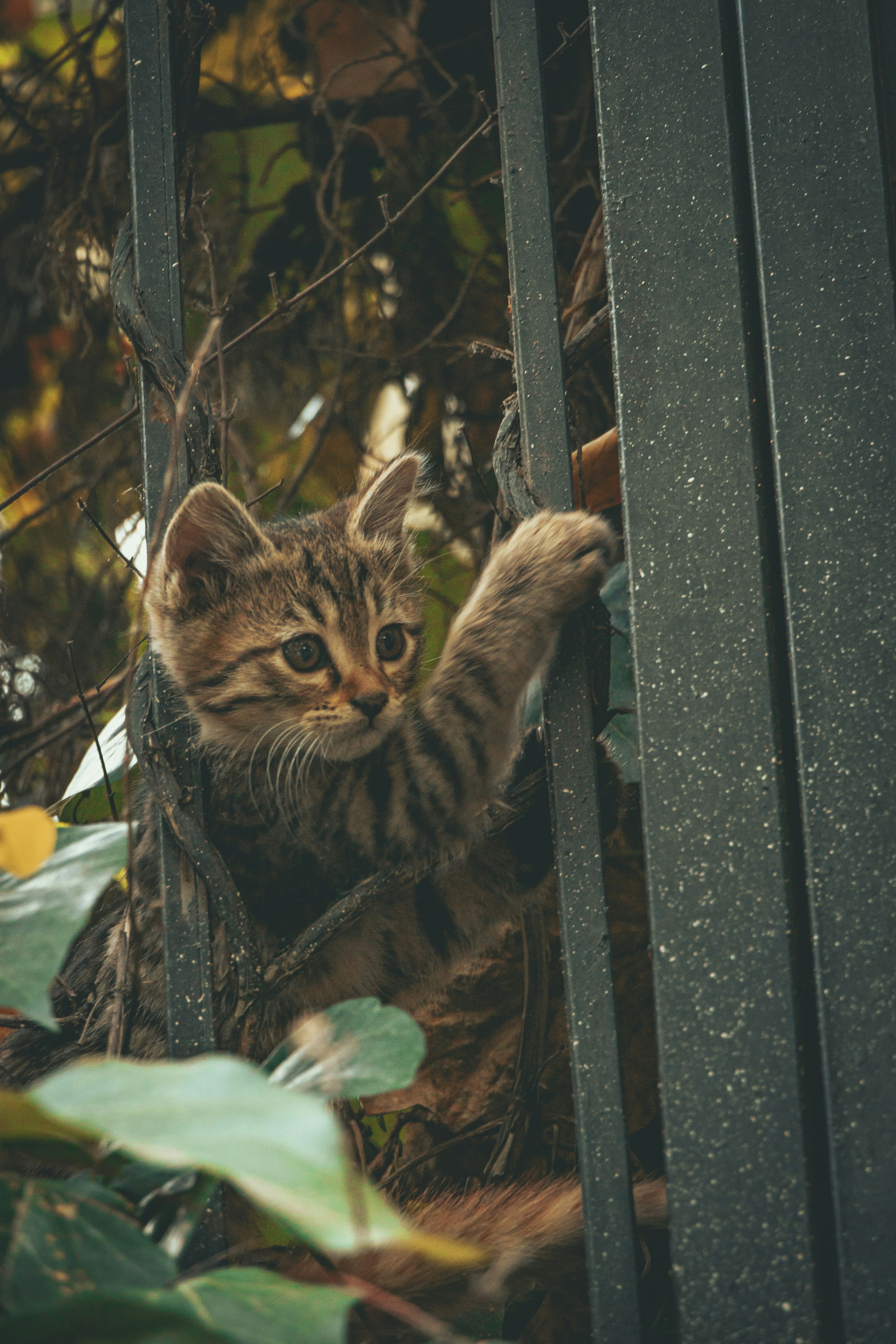 Photo by s_arshia_nzm