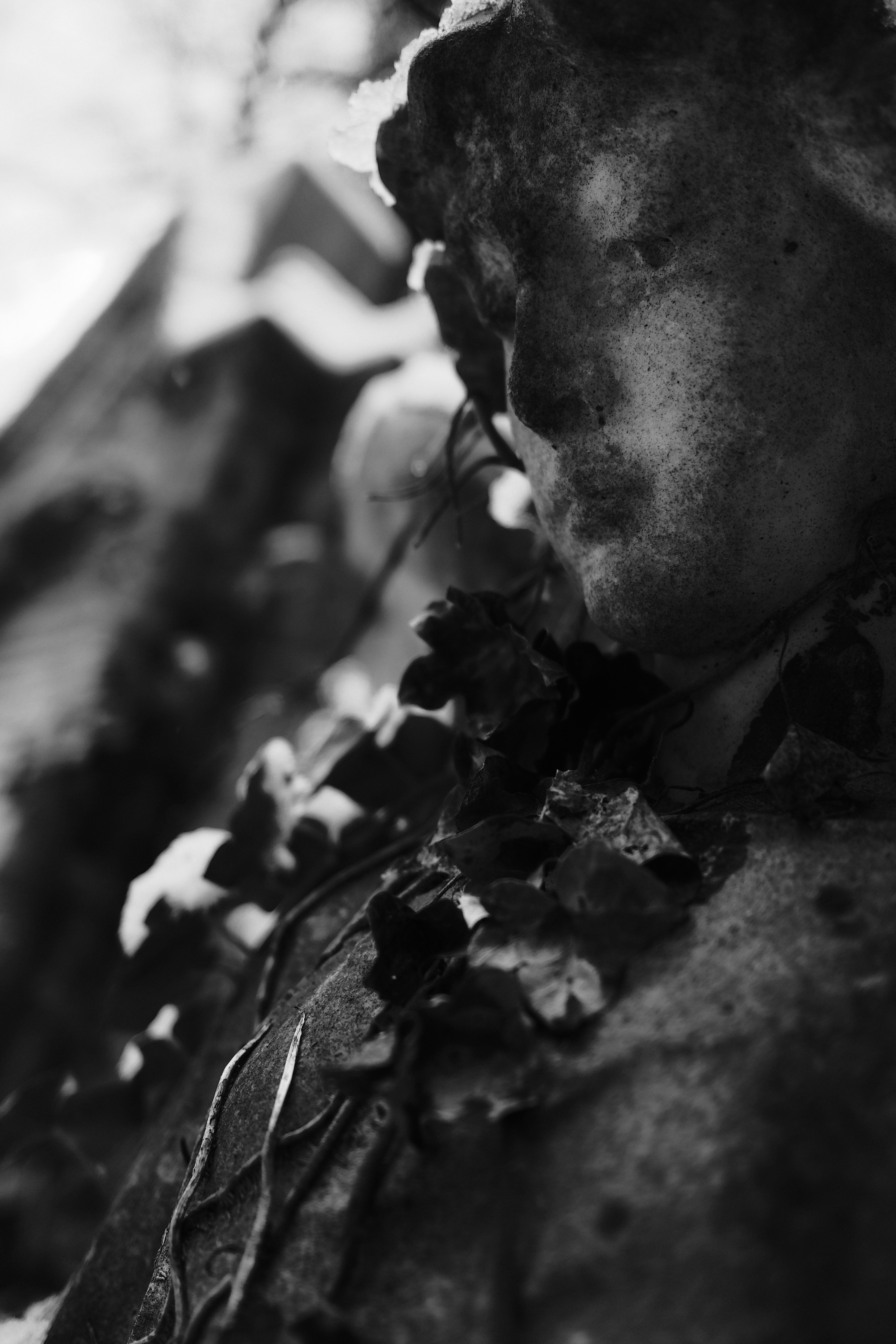 Photo by tomasrobertson