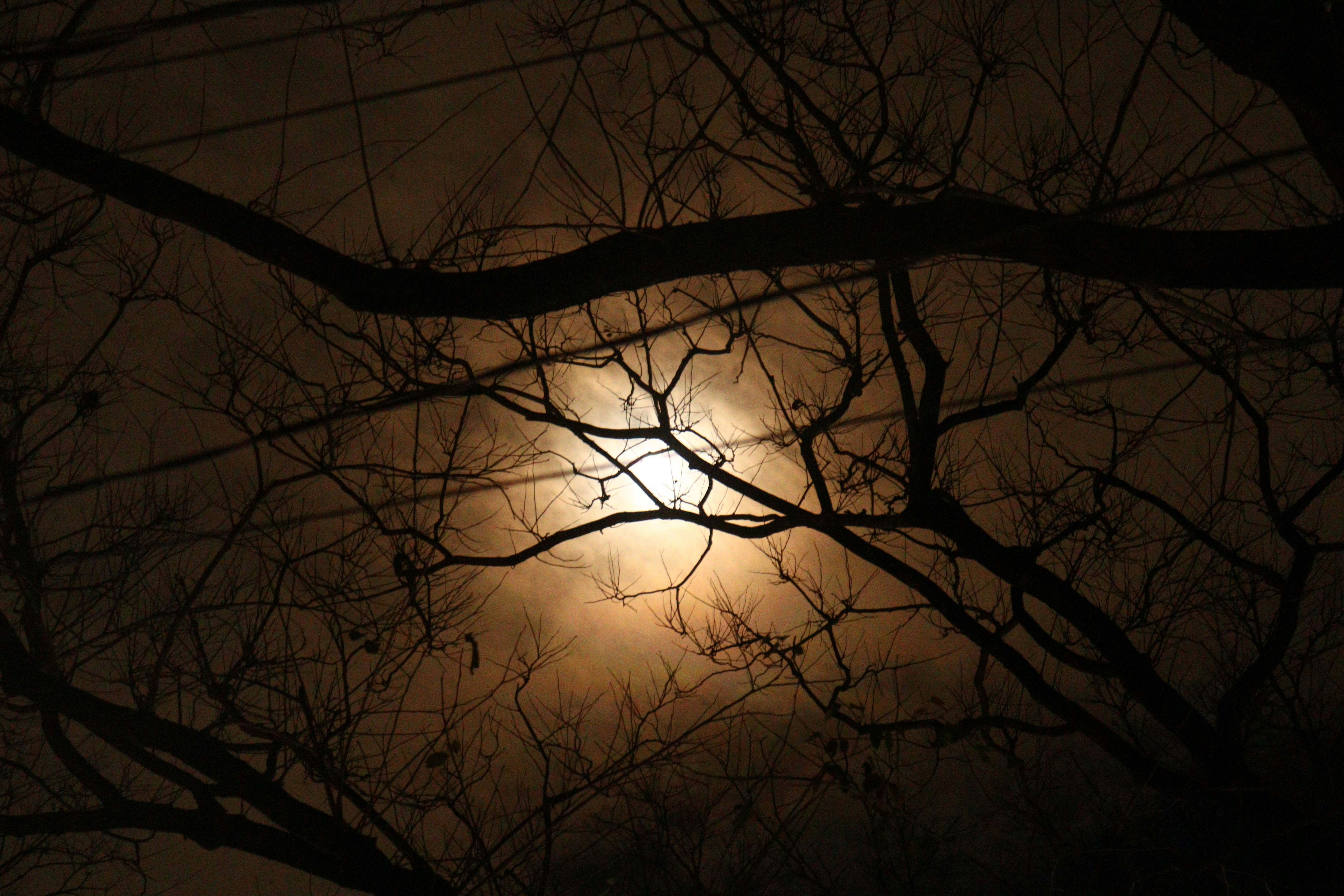 Photo by riniemcrinie