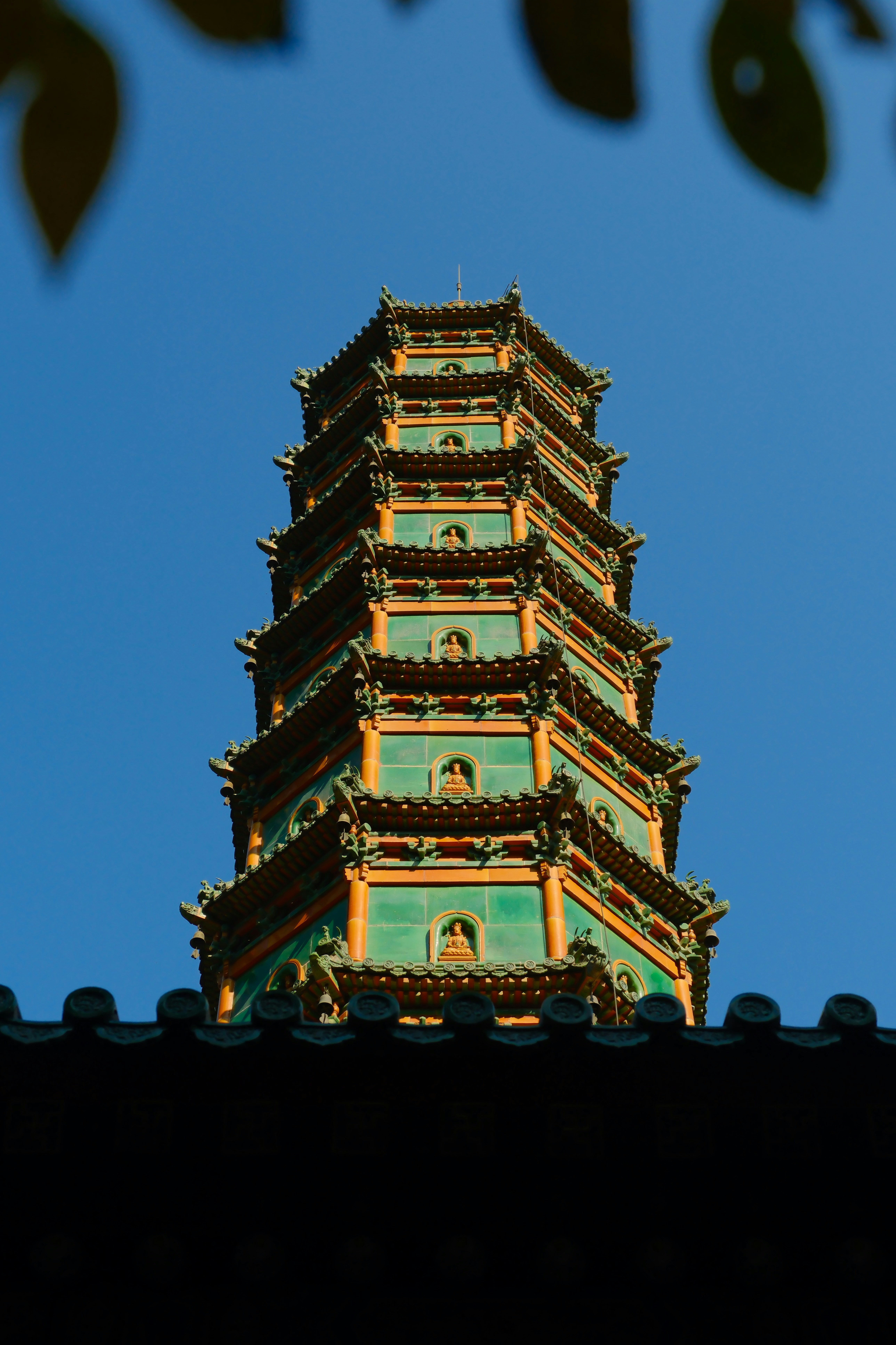 Photo by terrycarnivoroua