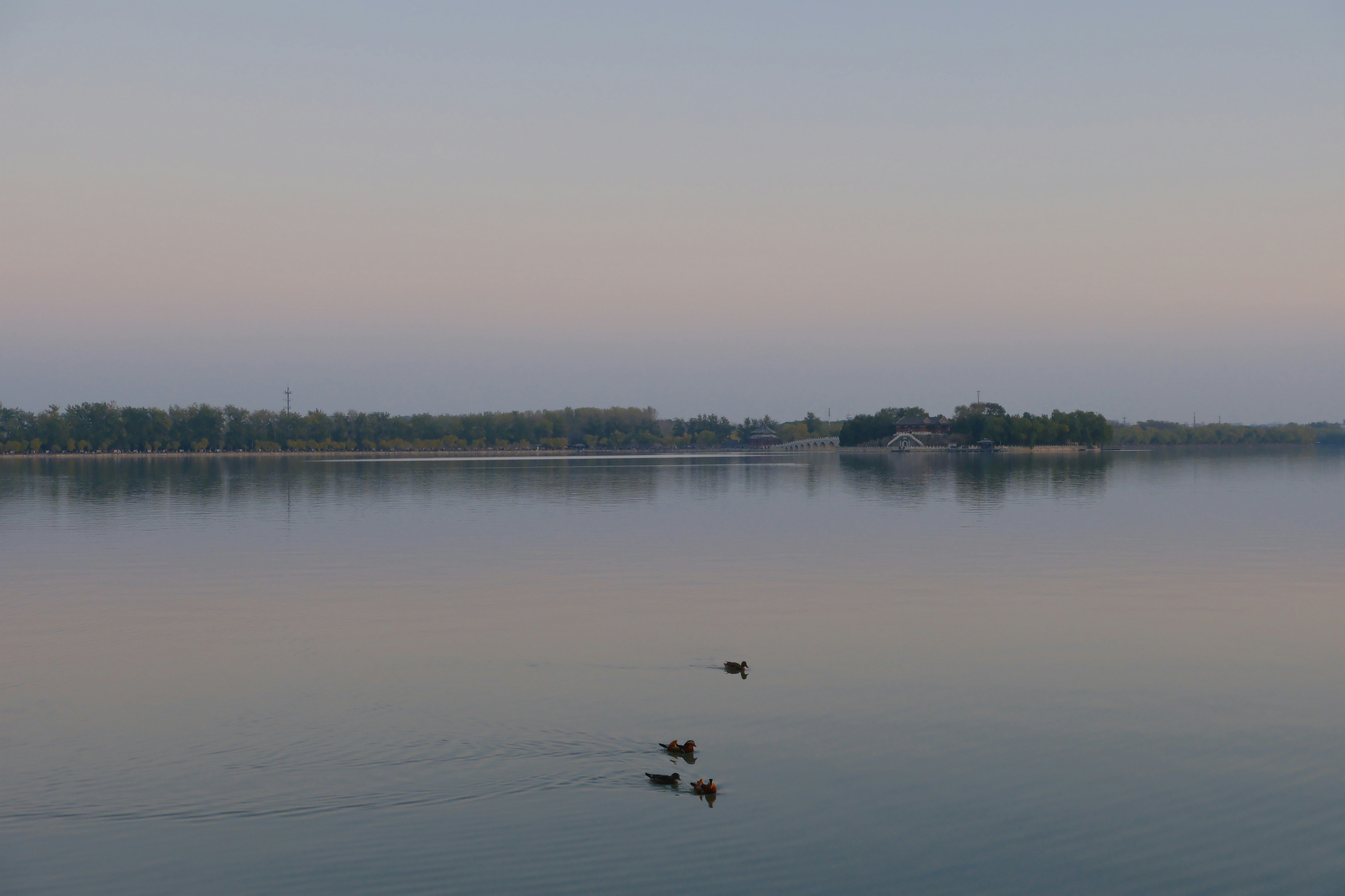 Photo by terrycarnivoroua