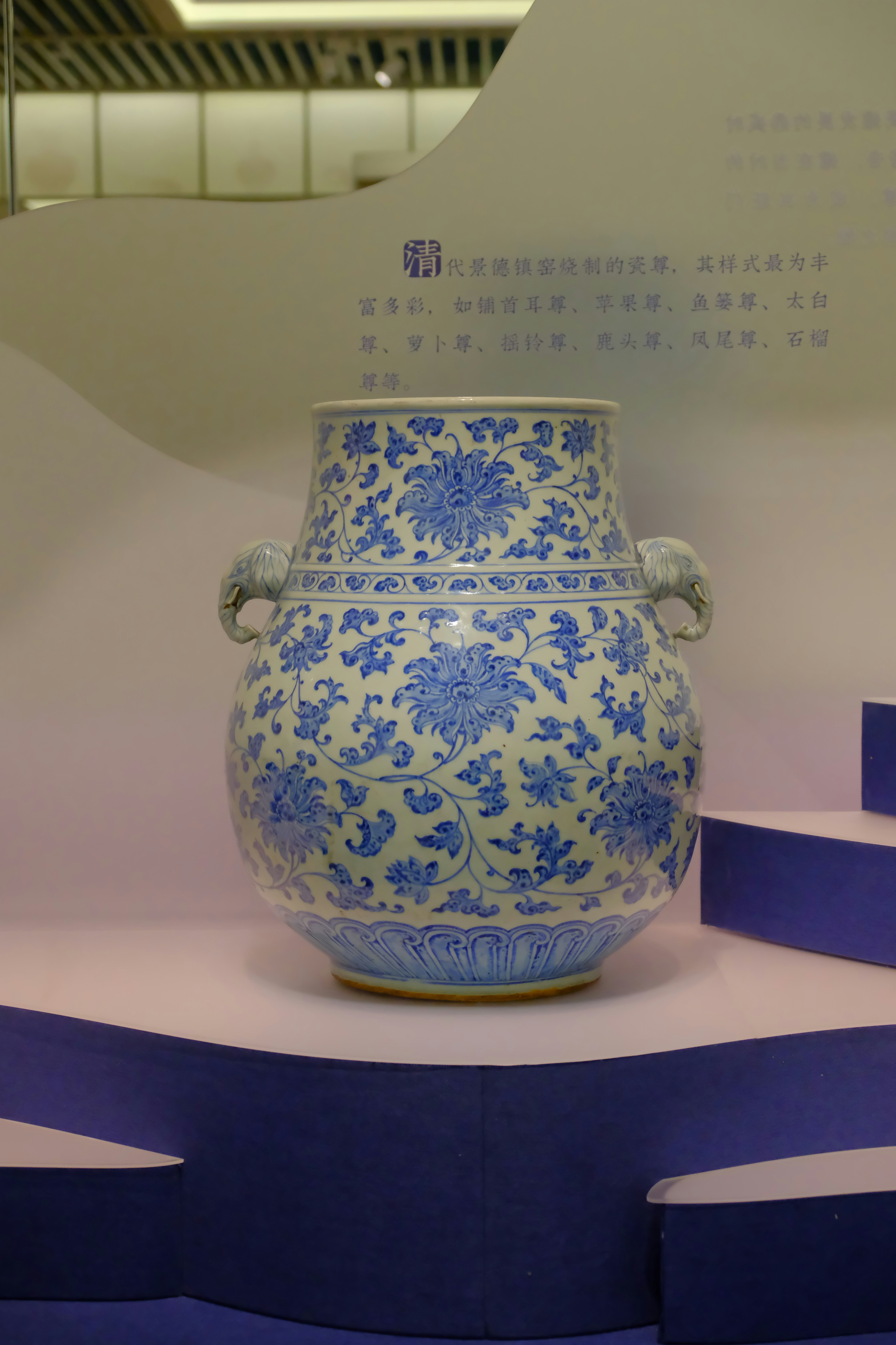 Blue and white chinese vase on display.