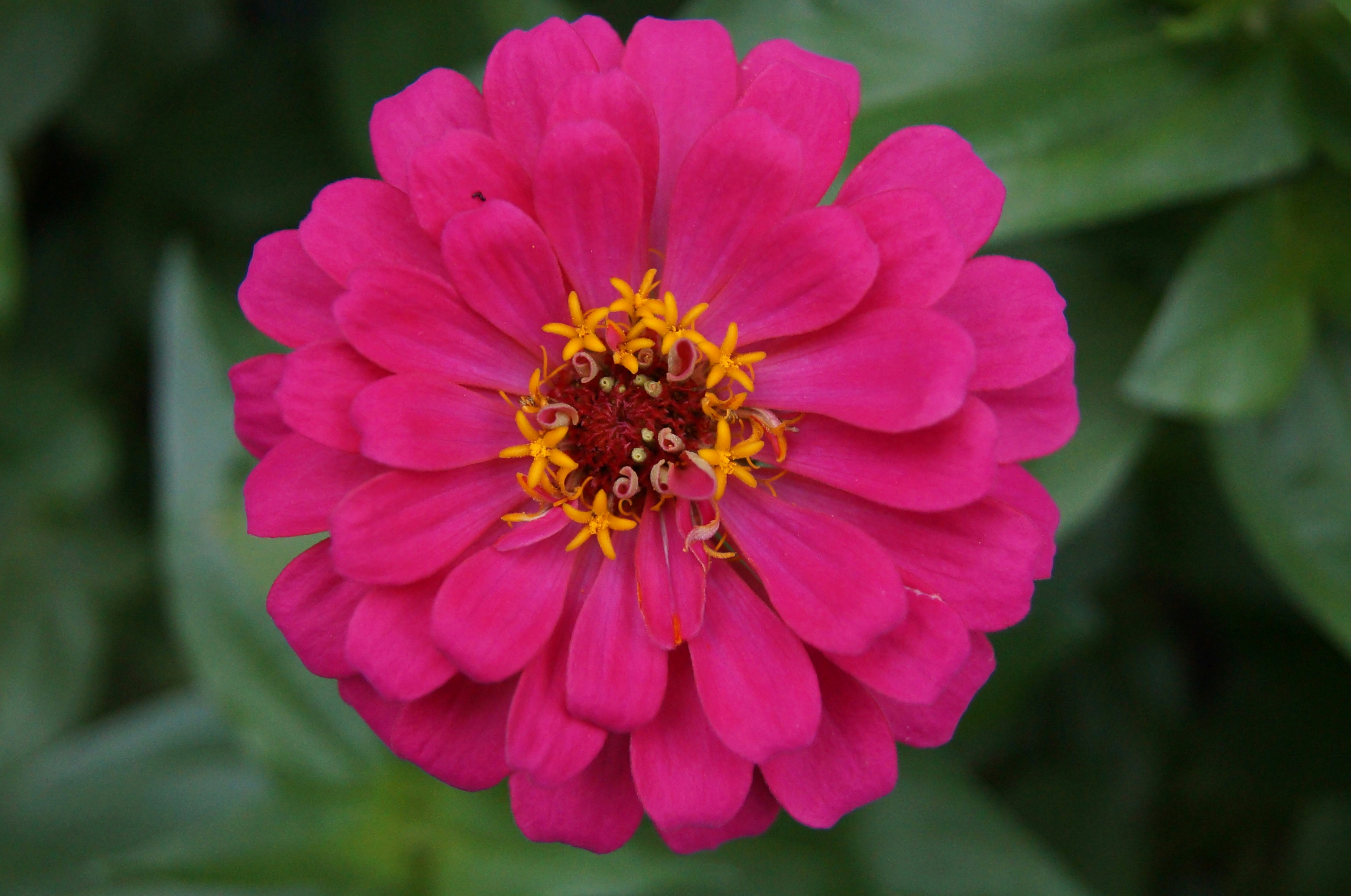 Photo by wanderinwonder