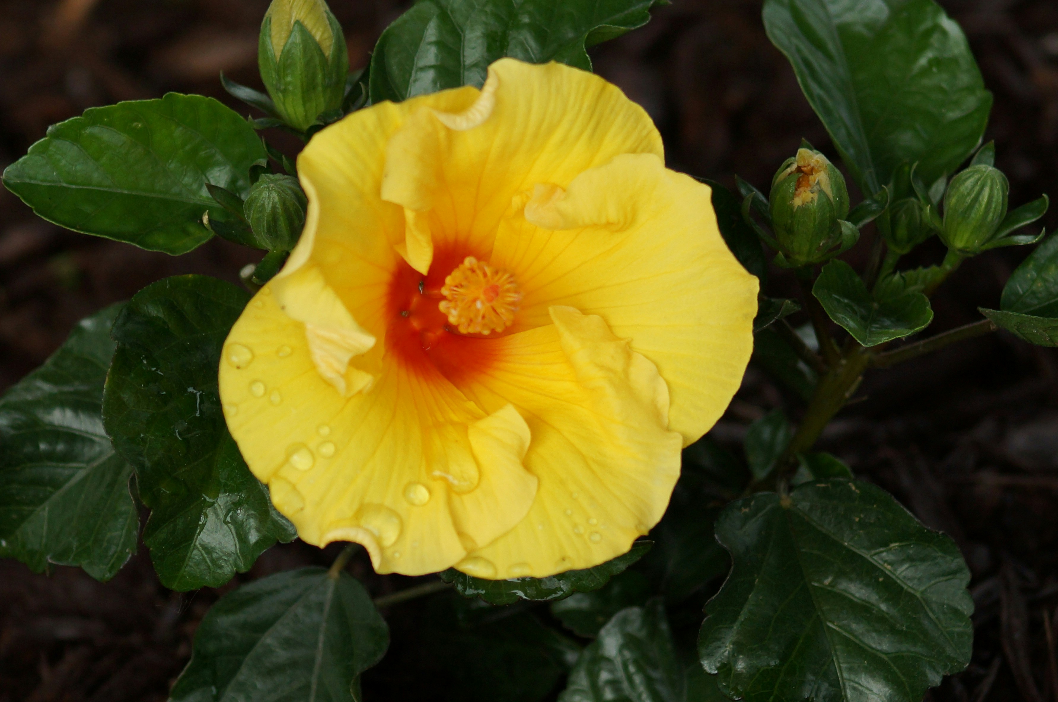 Photo by wanderinwonder