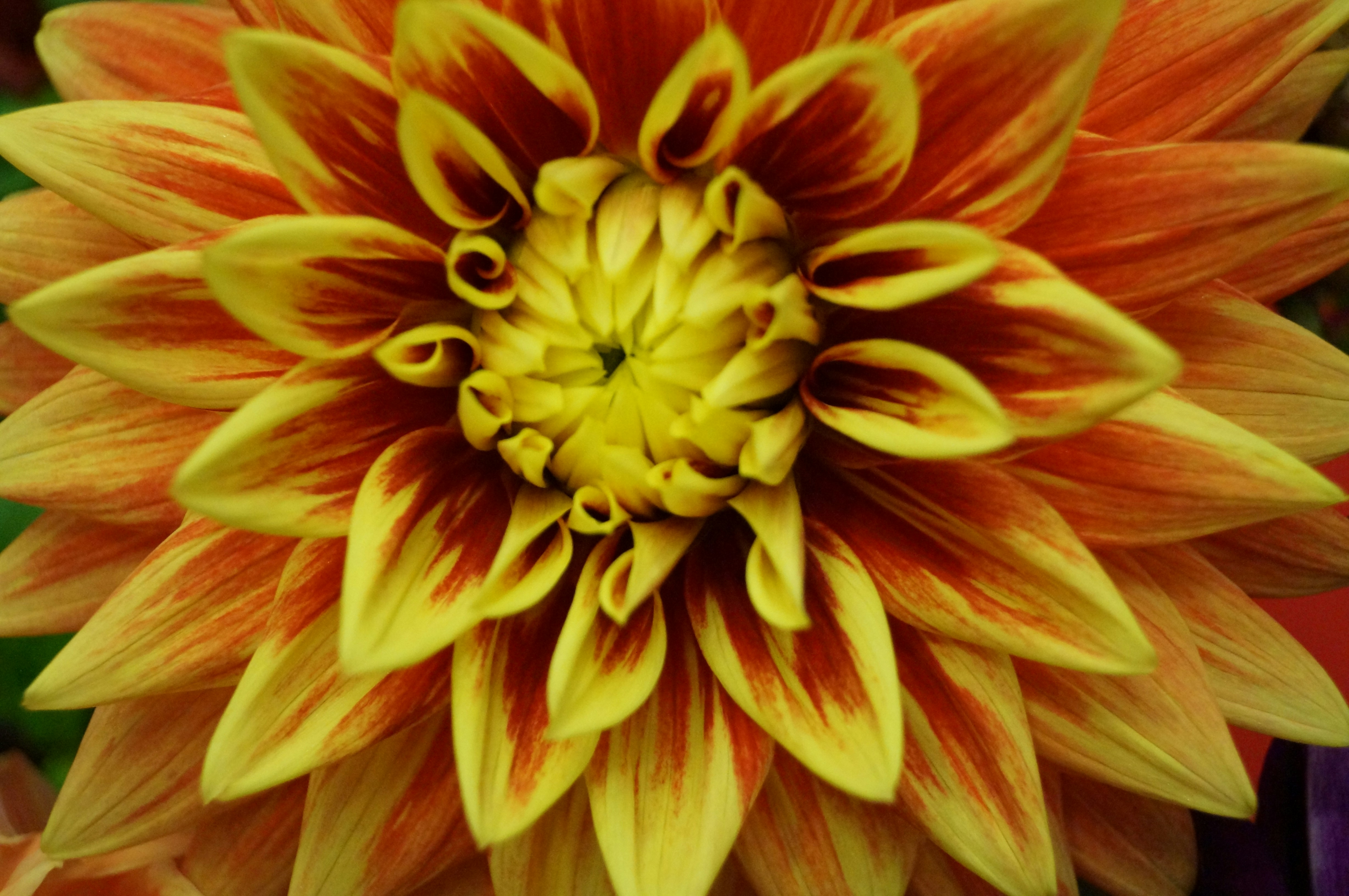 Photo by wanderinwonder