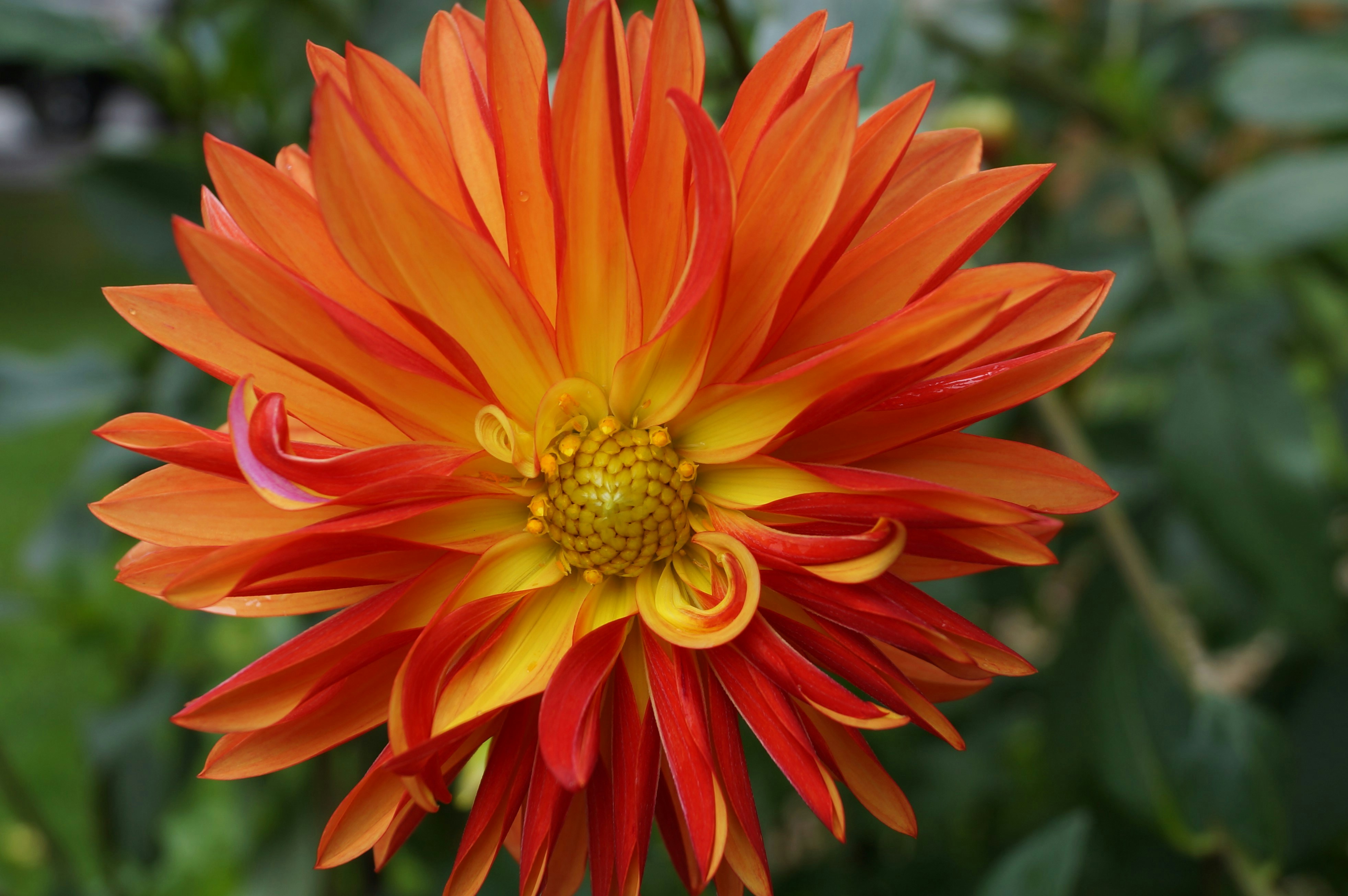 Photo by wanderinwonder