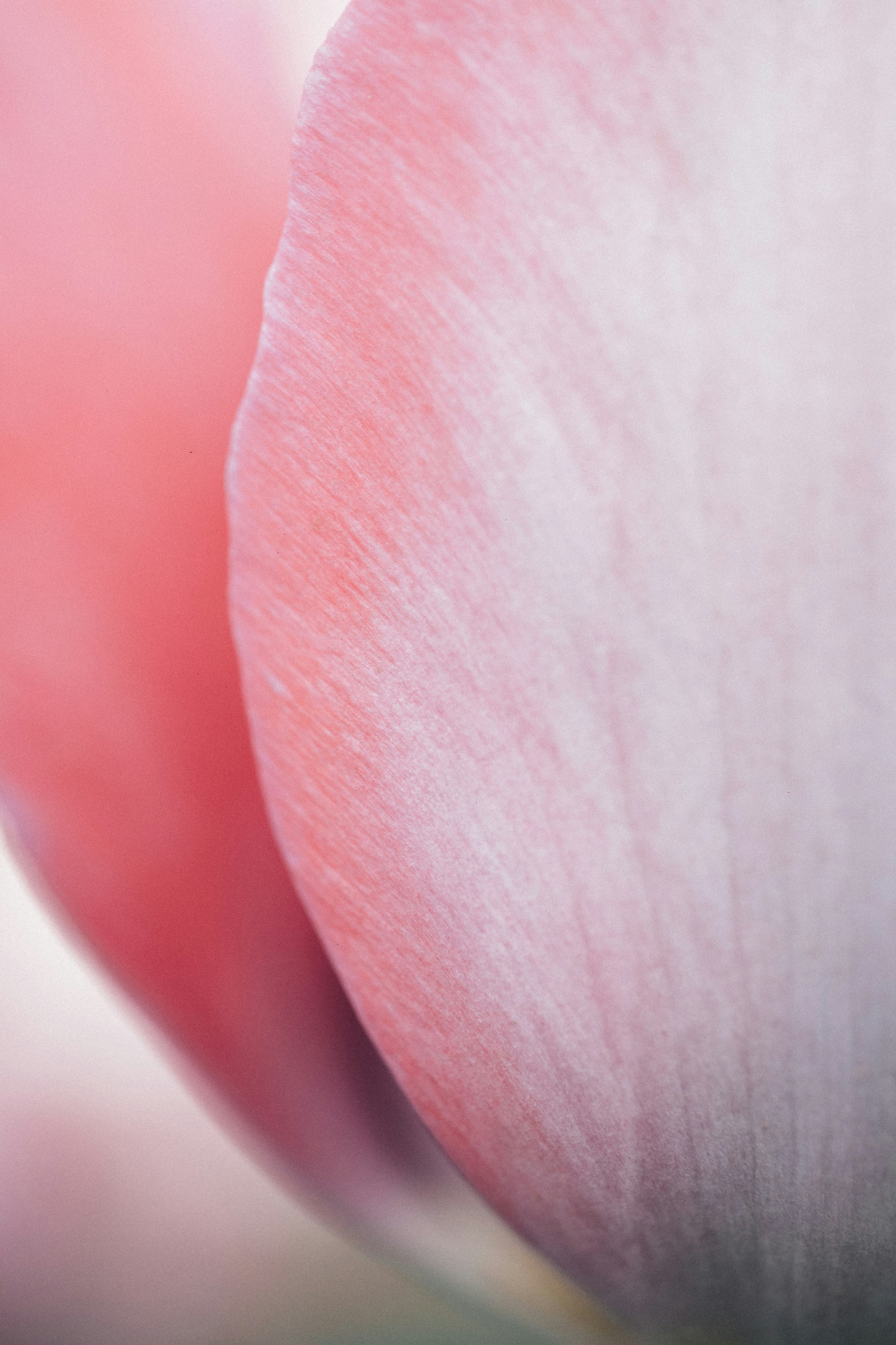 Photo by tsuyoshikozu