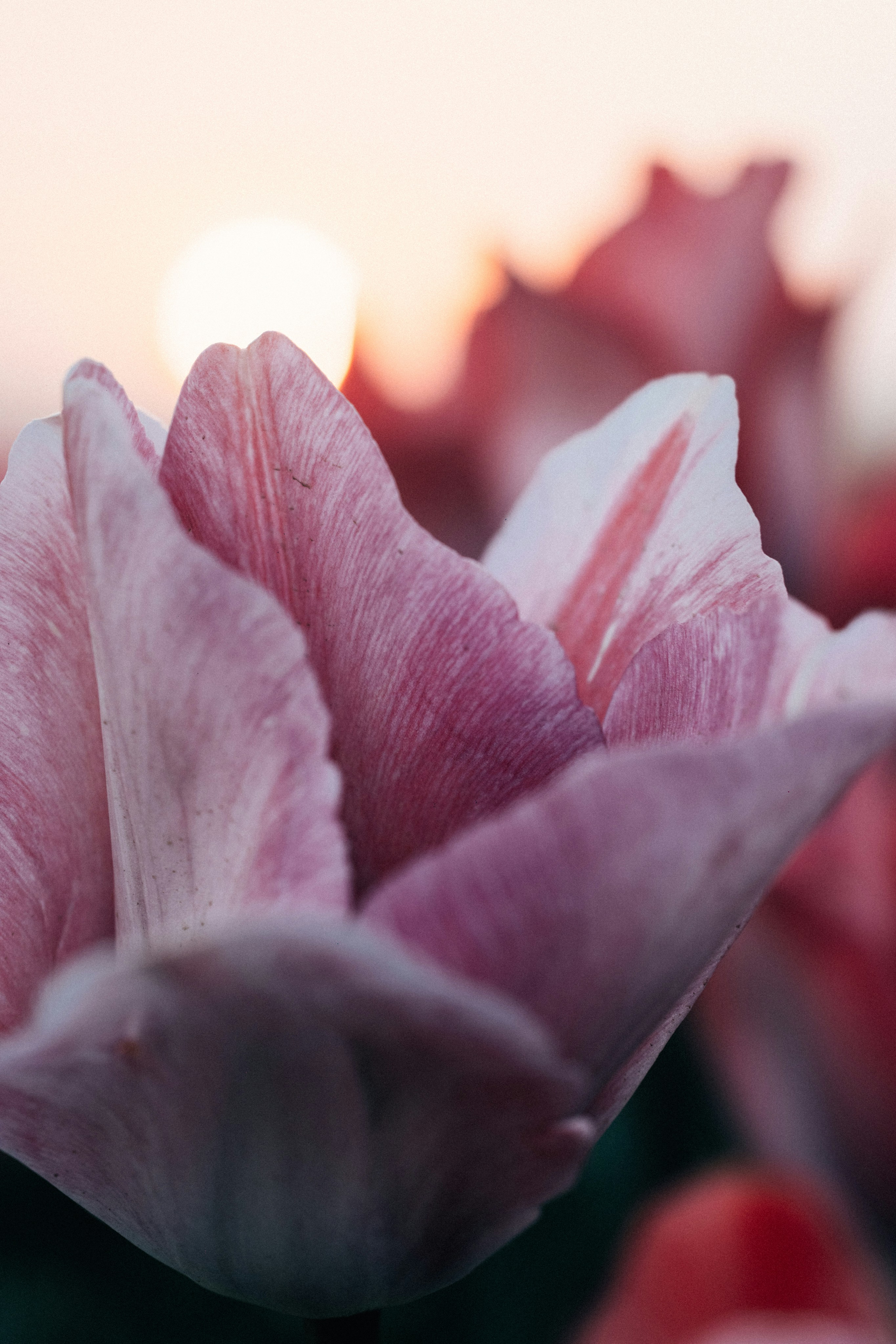 Photo by tsuyoshikozu