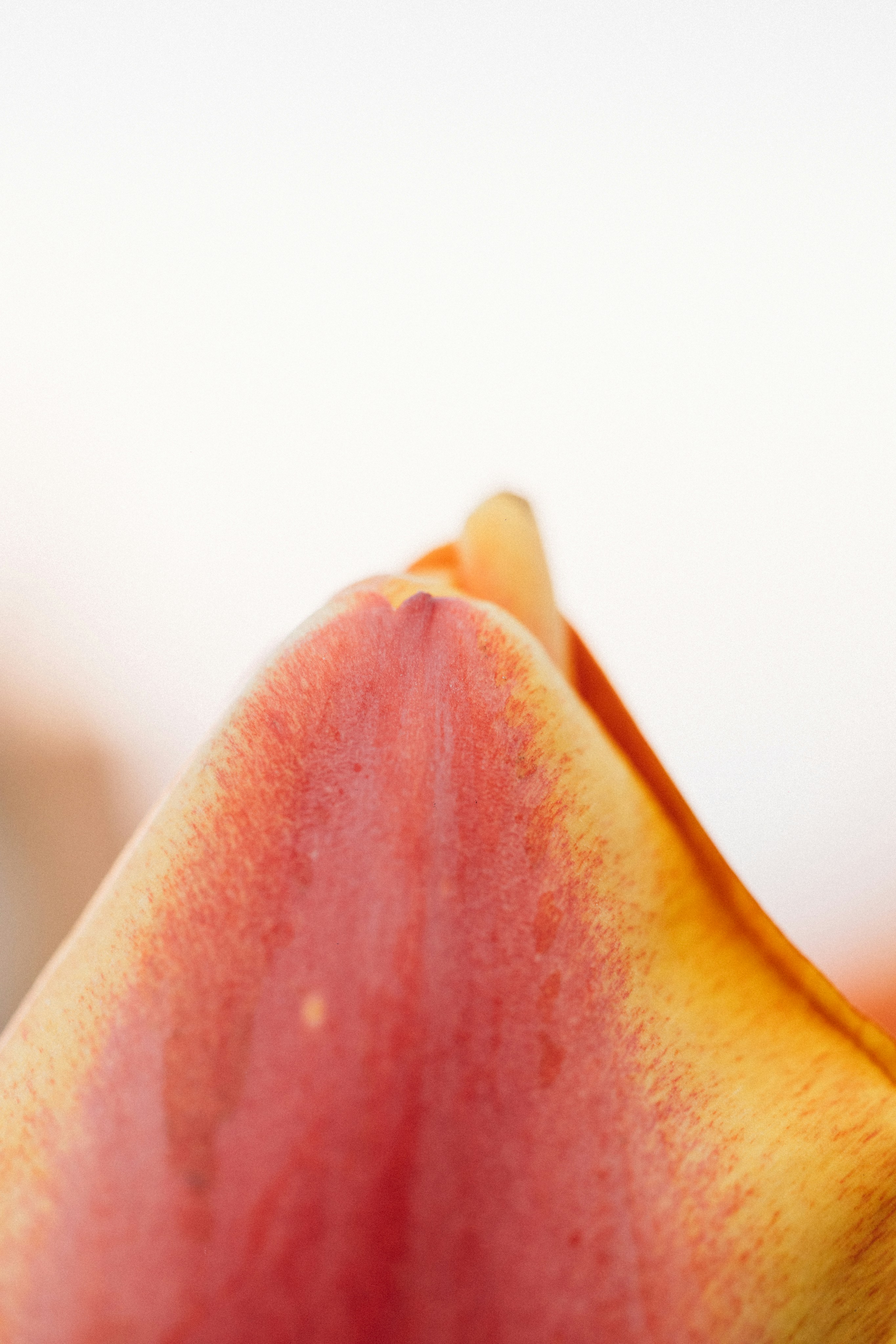 Photo by tsuyoshikozu