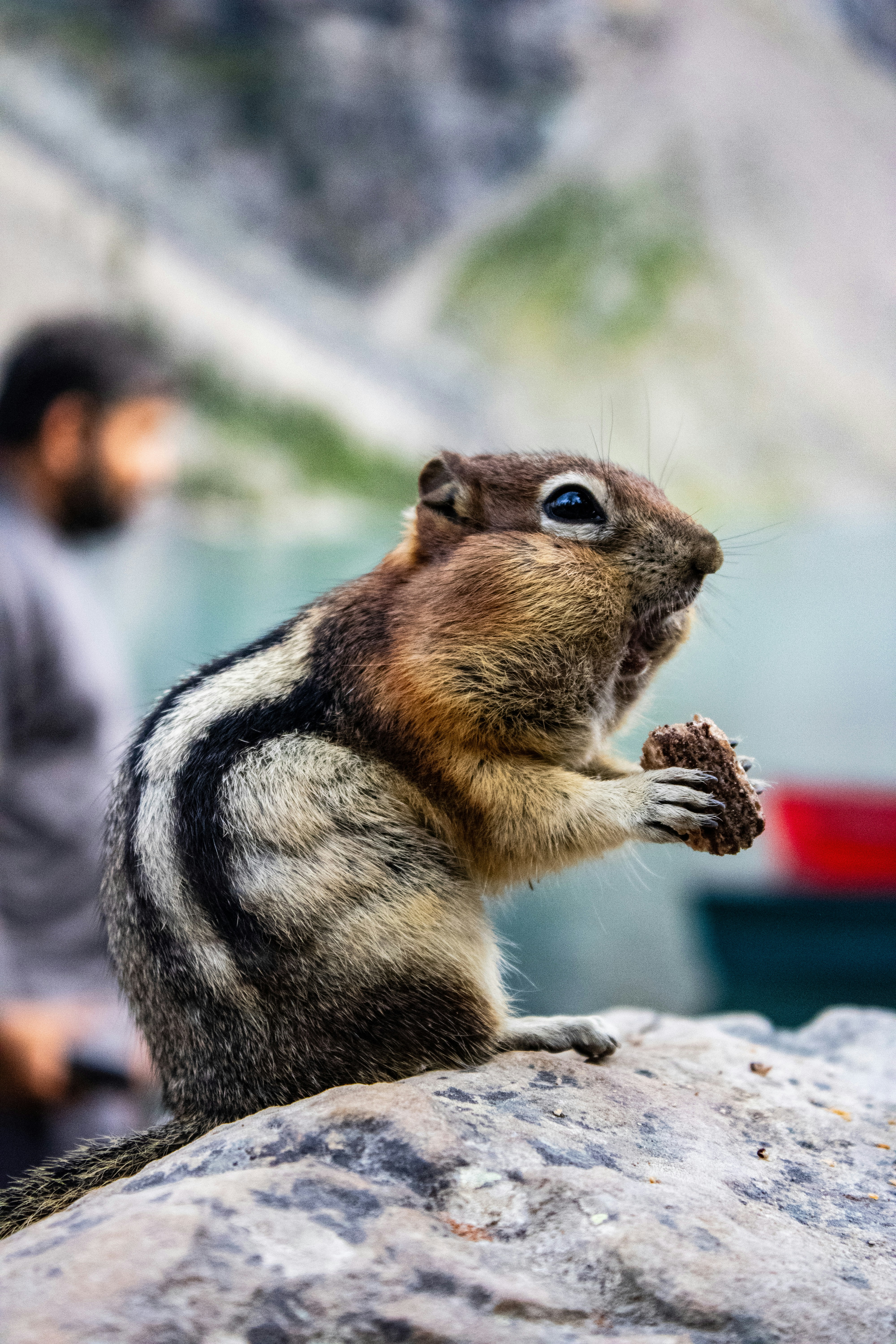 Photo by tavia_0508_sb