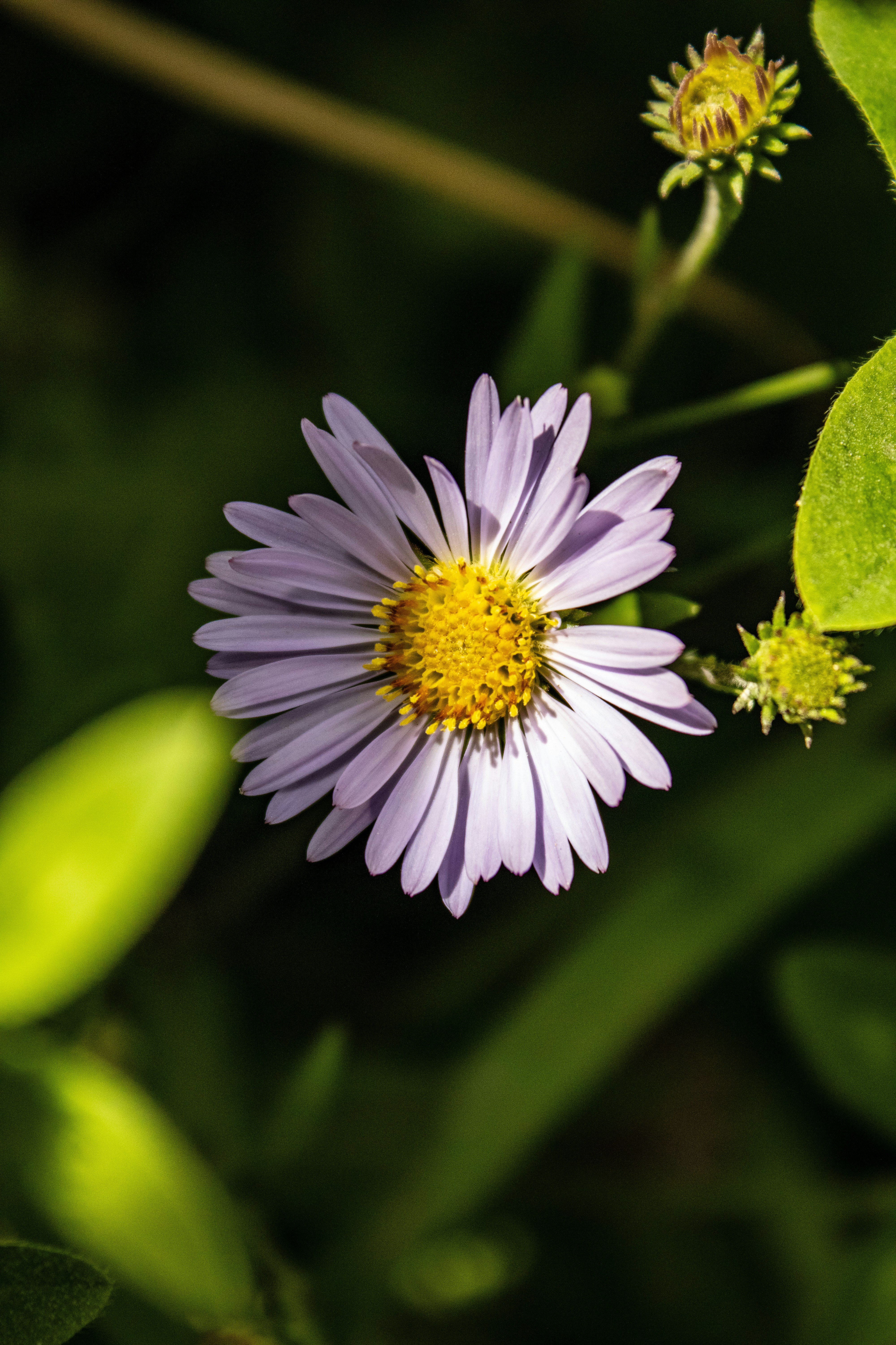 Photo by tavia_0508_sb