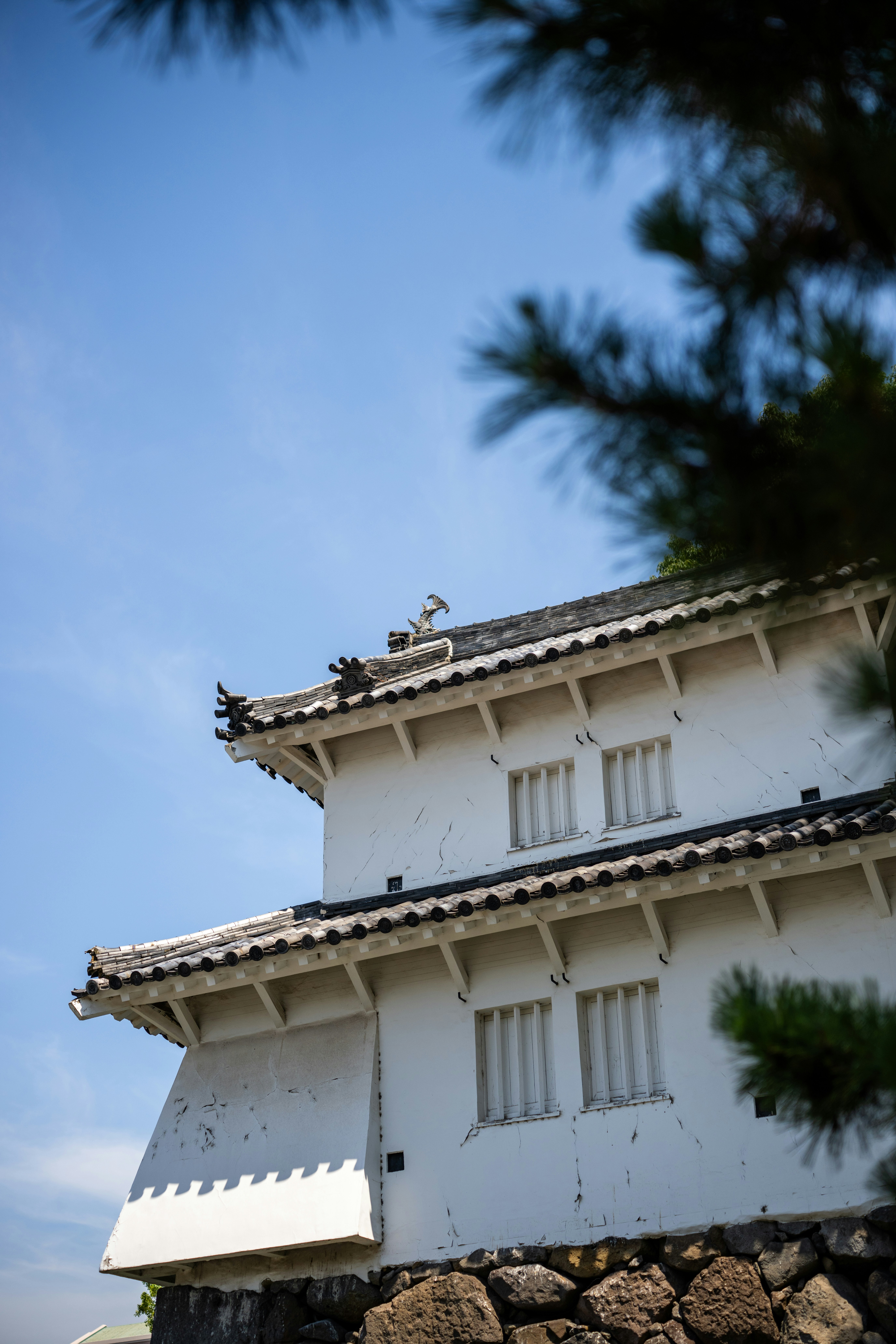 Photo by pafuxu