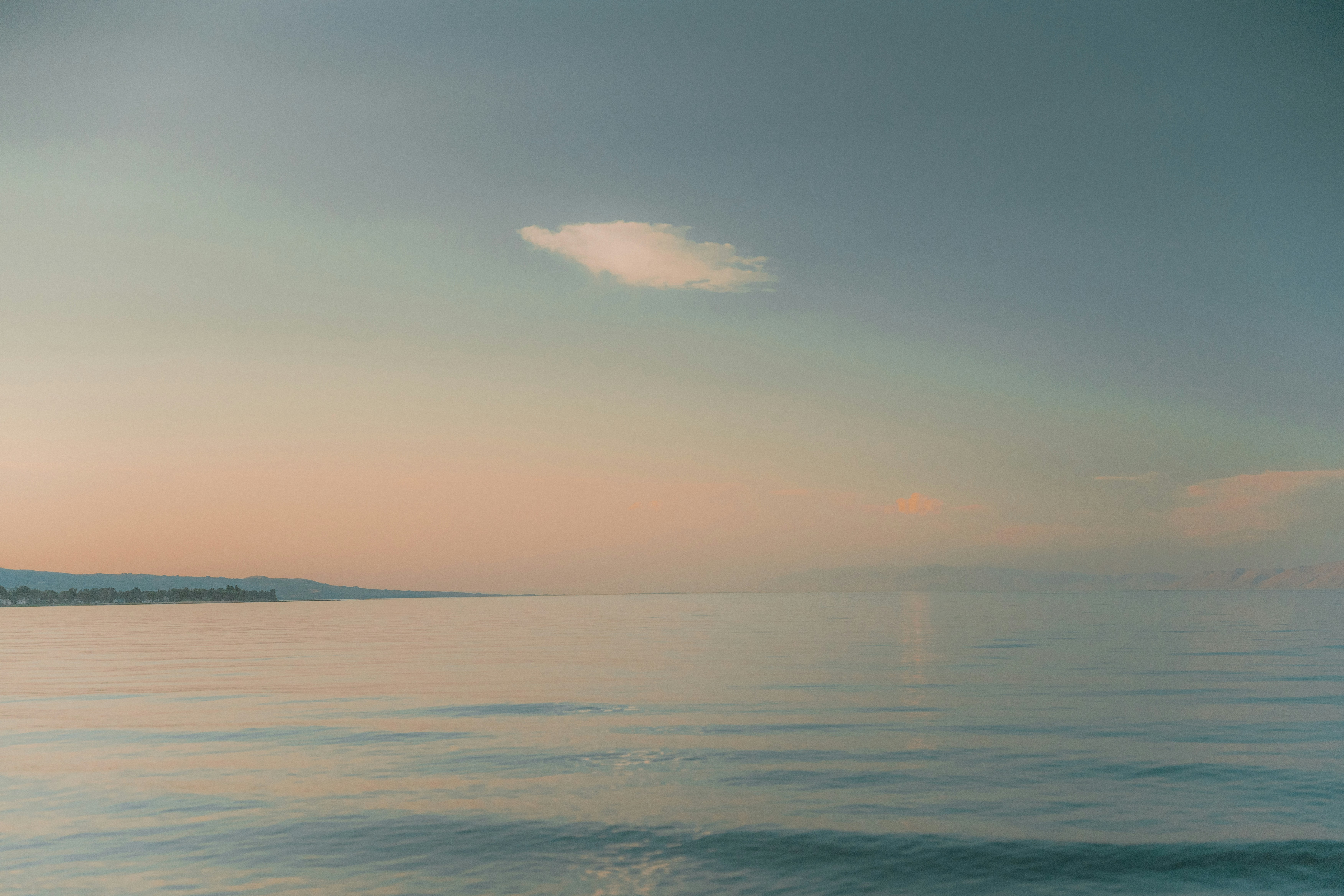 Photo by wonderwallphotos