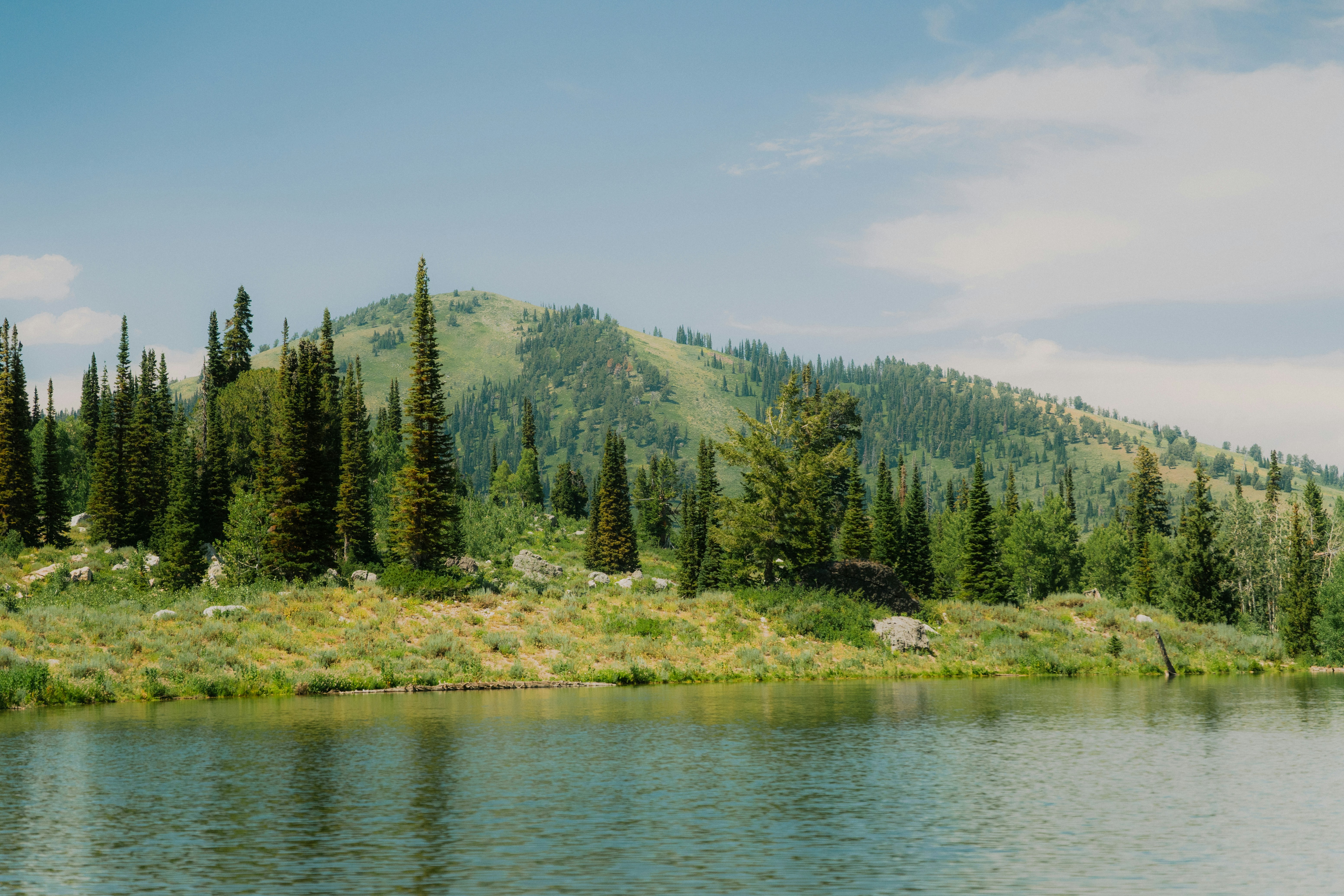 Photo by wonderwallphotos