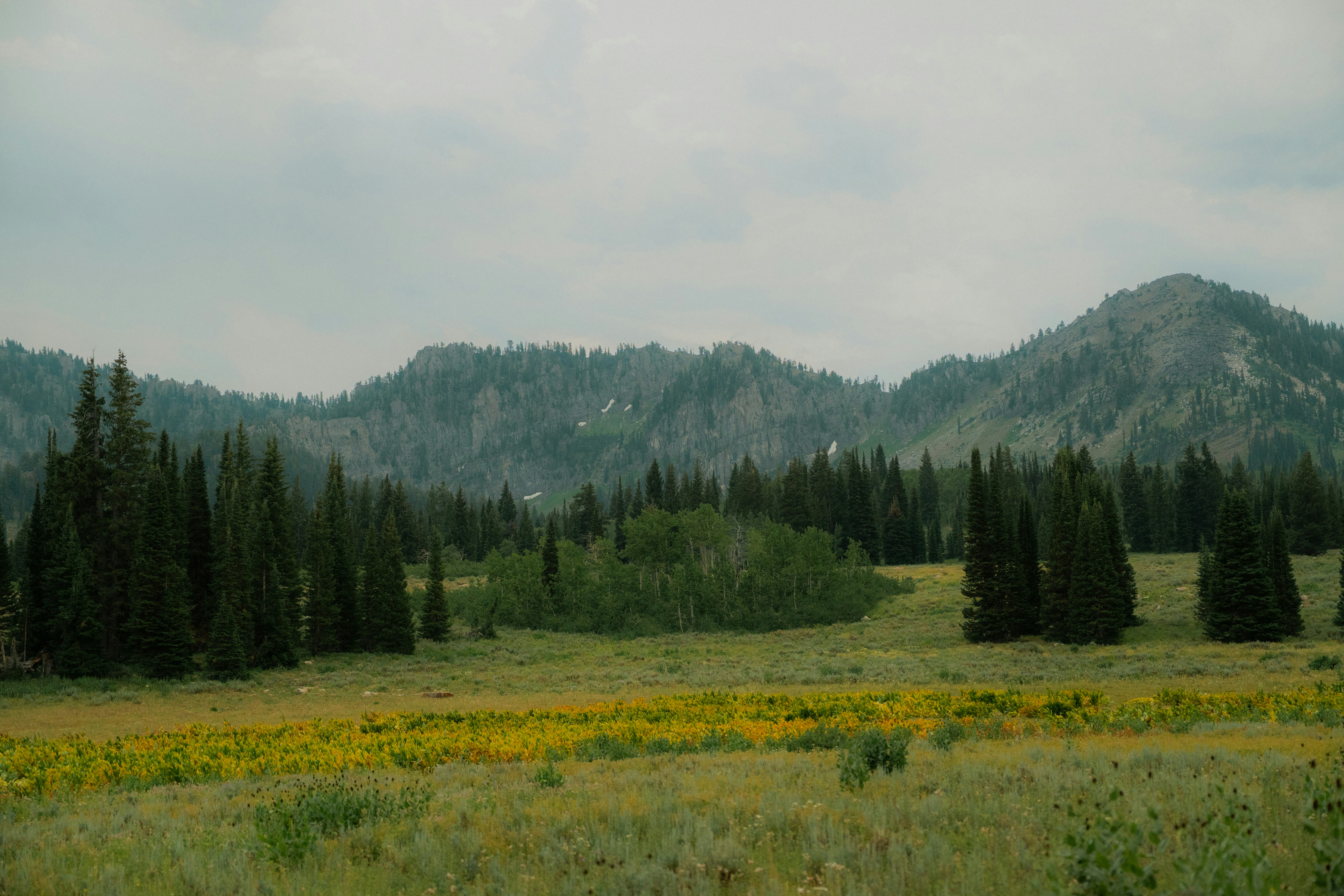 Photo by wonderwallphotos