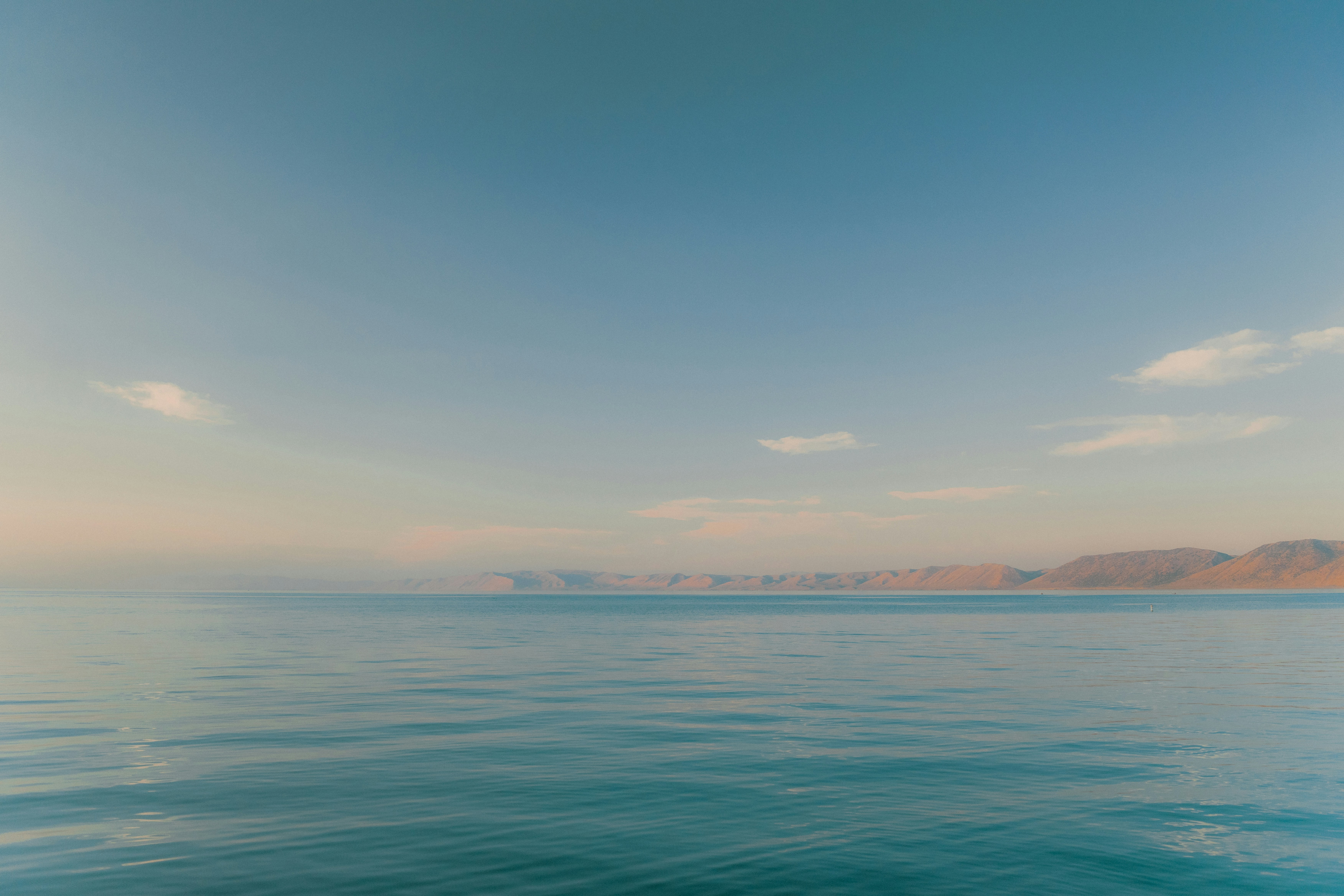 Photo by wonderwallphotos