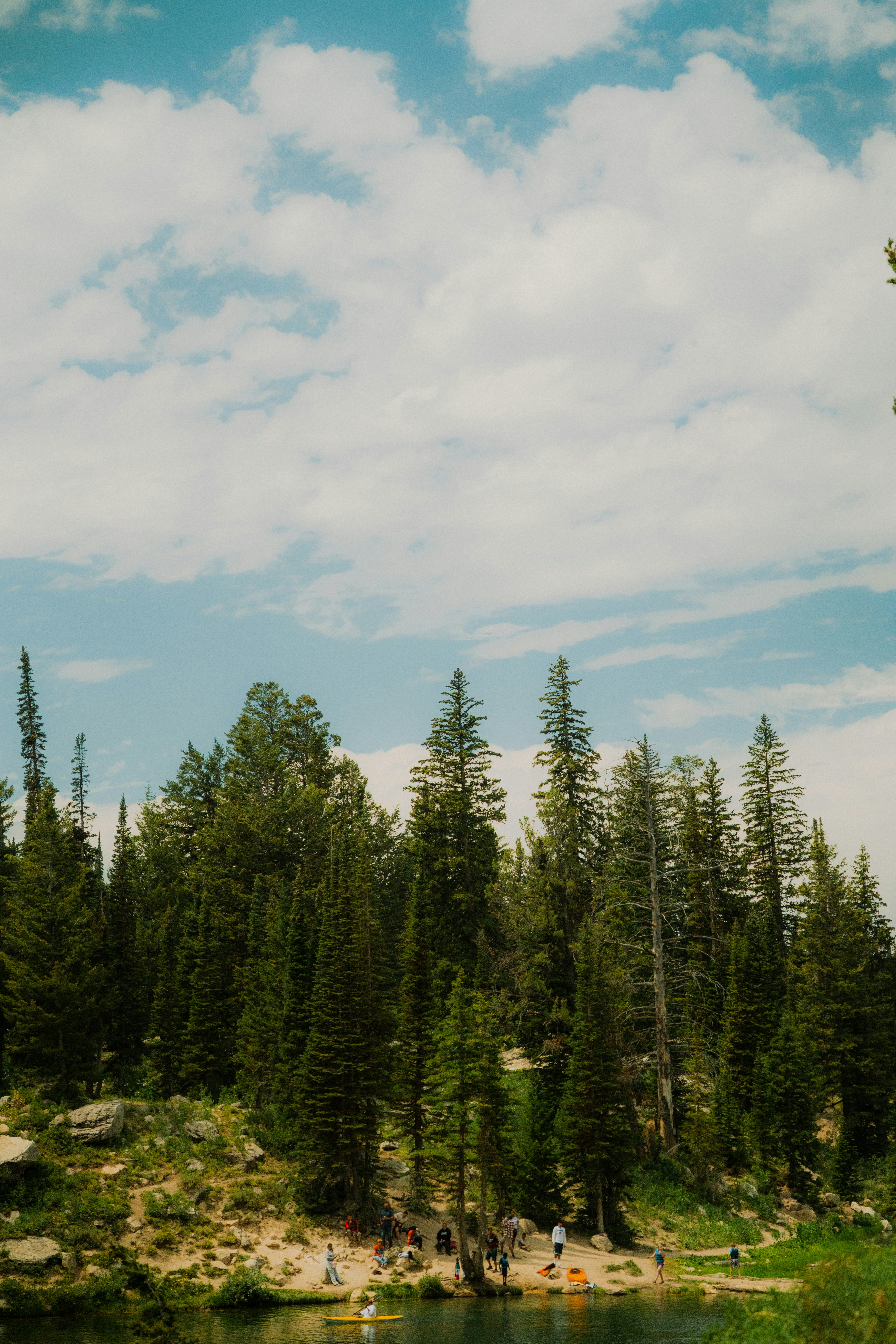 Photo by wonderwallphotos