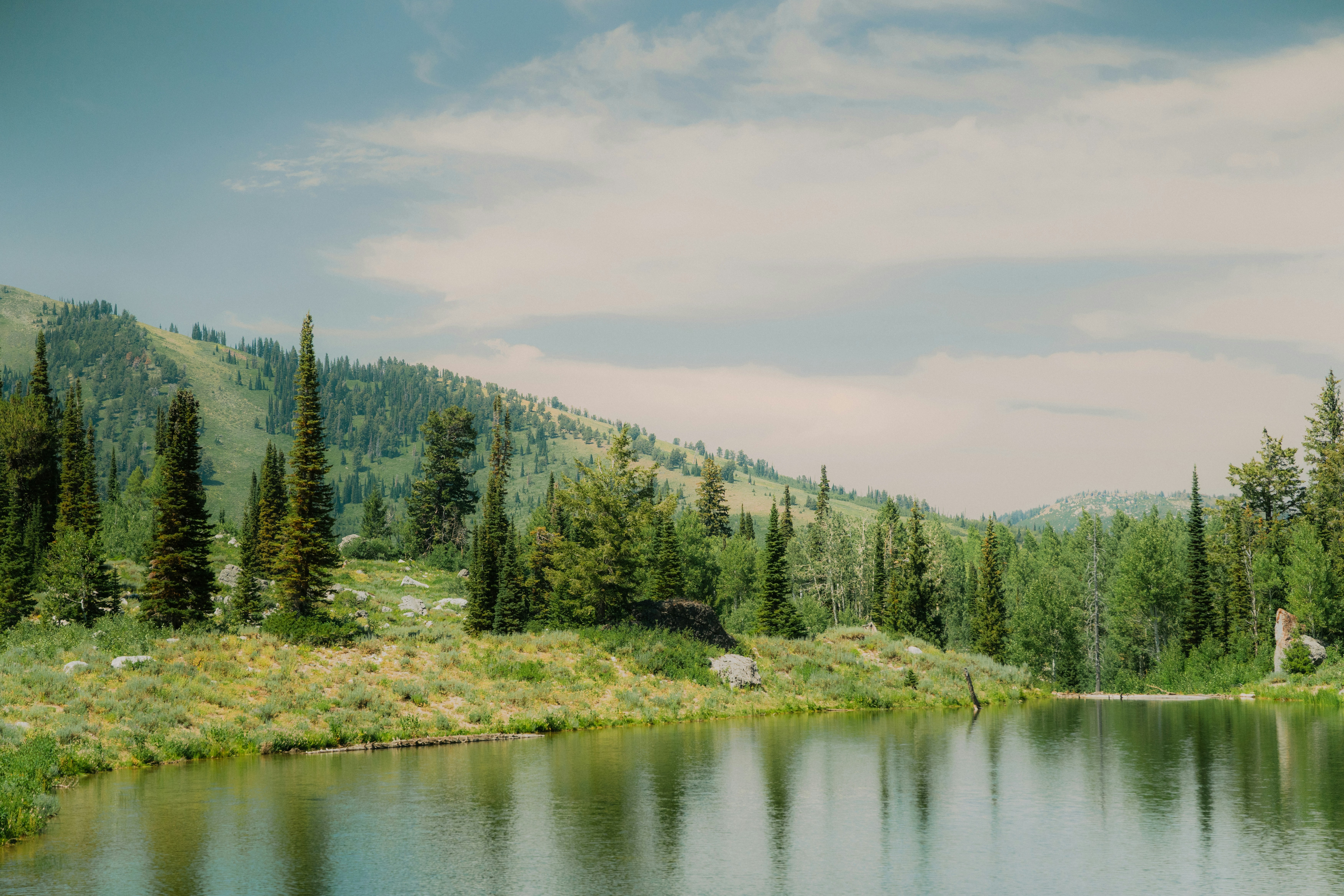 A peaceful lake surrounded by lush green trees.