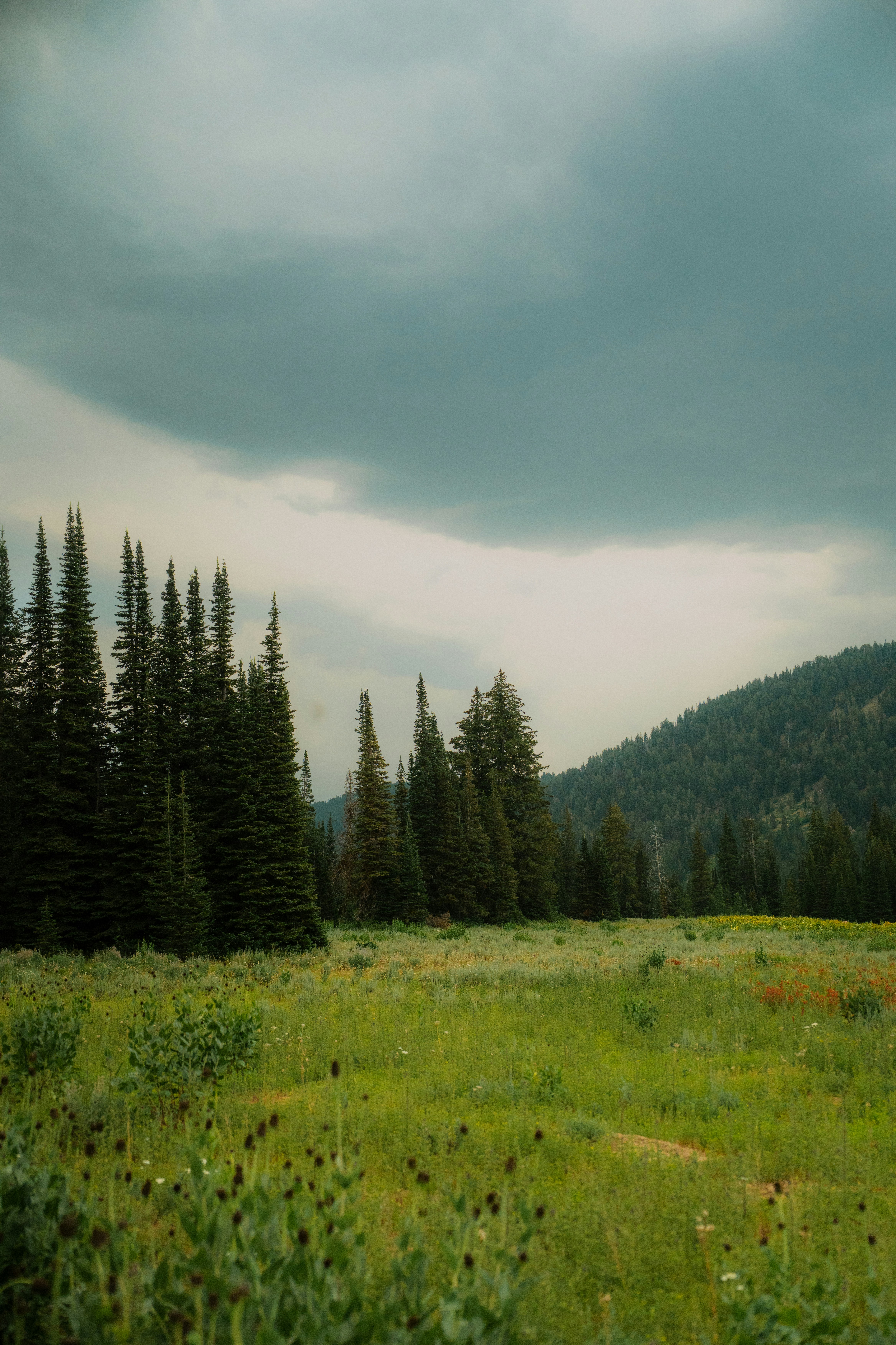 Photo by wonderwallphotos