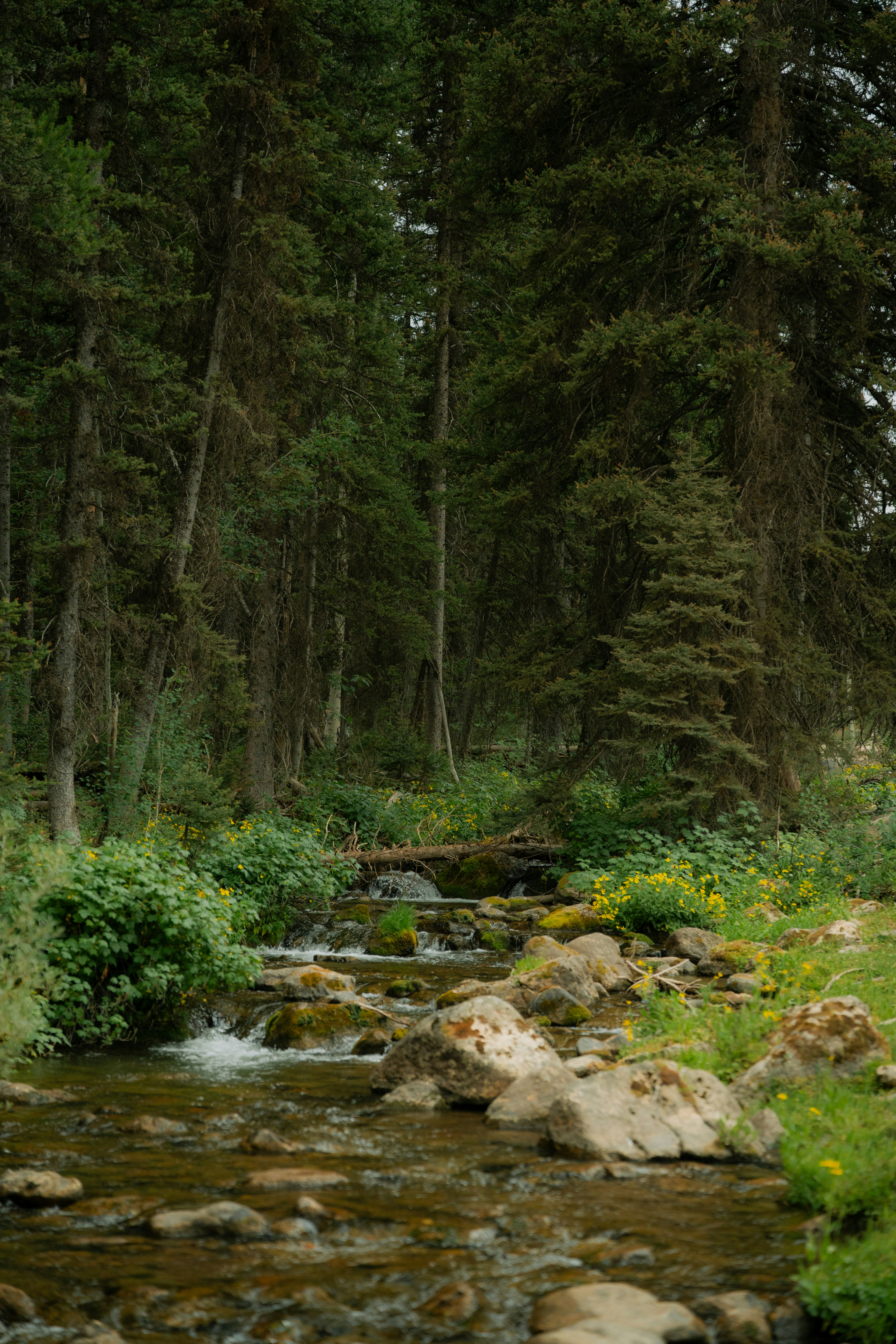 Photo by wonderwallphotos