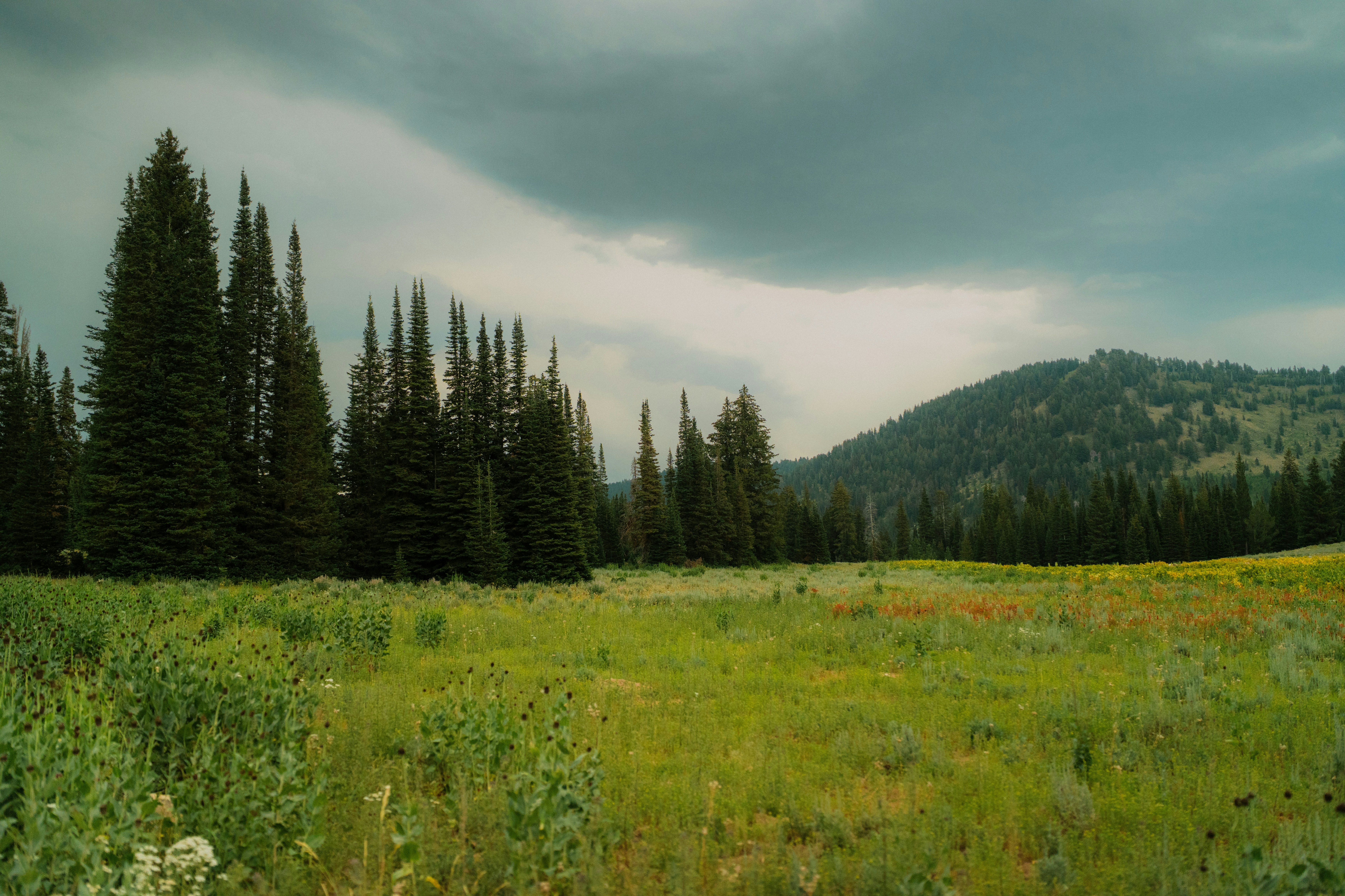 Photo by wonderwallphotos