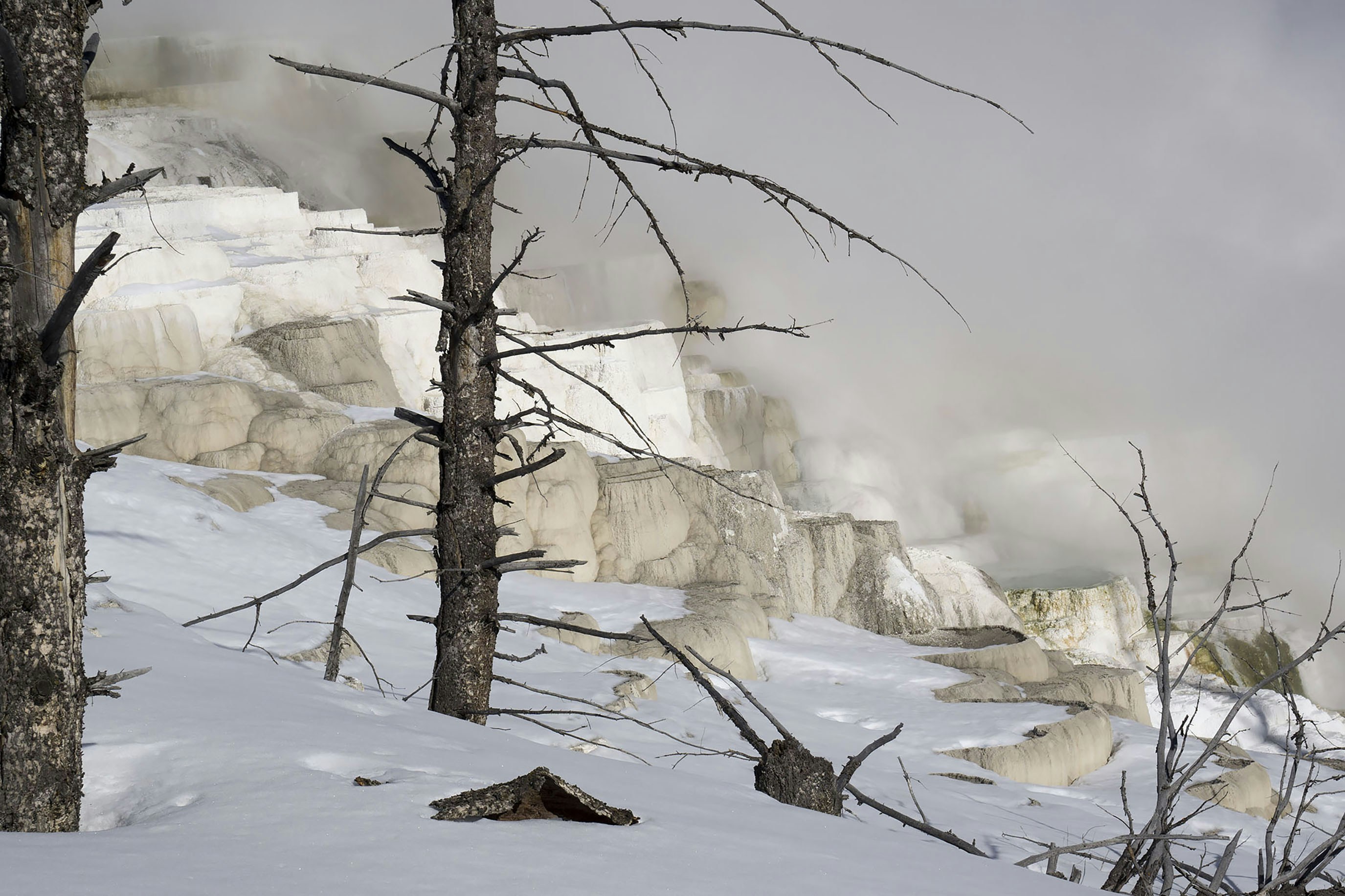 Steam rises from a snow-covered thermal landscape.