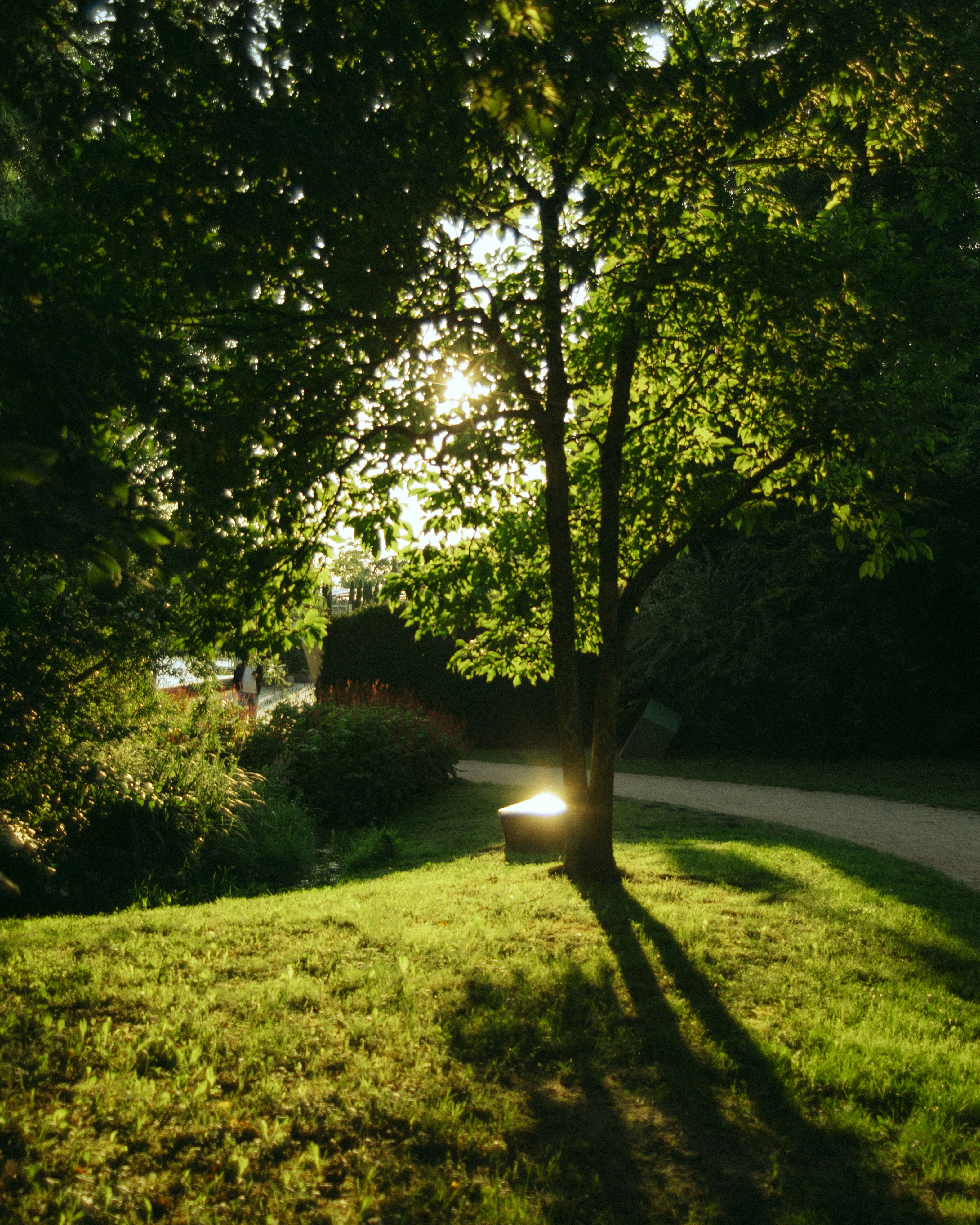 Photo by allexander_h