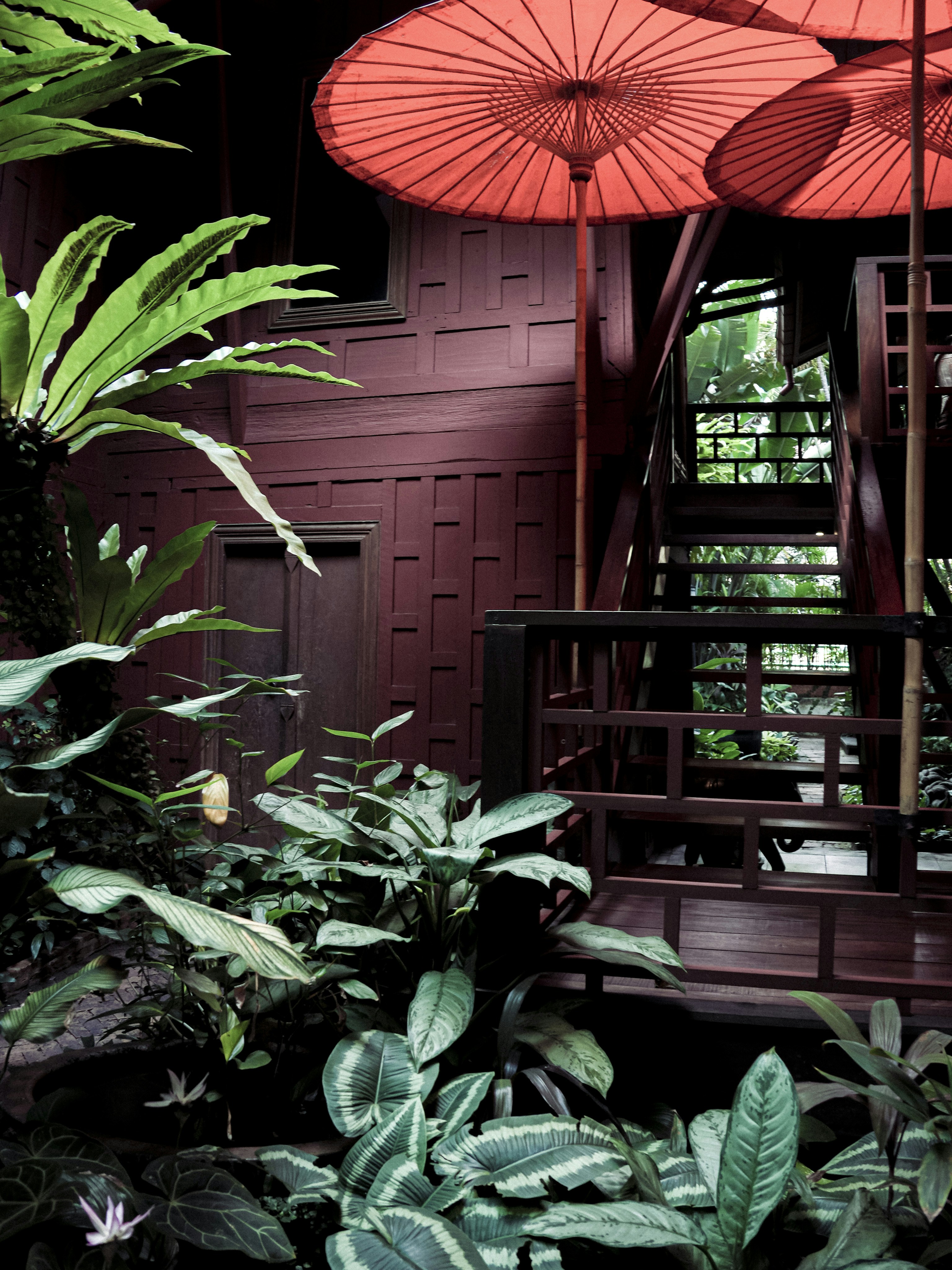 Red umbrellas shade a staircase surrounded by plants.