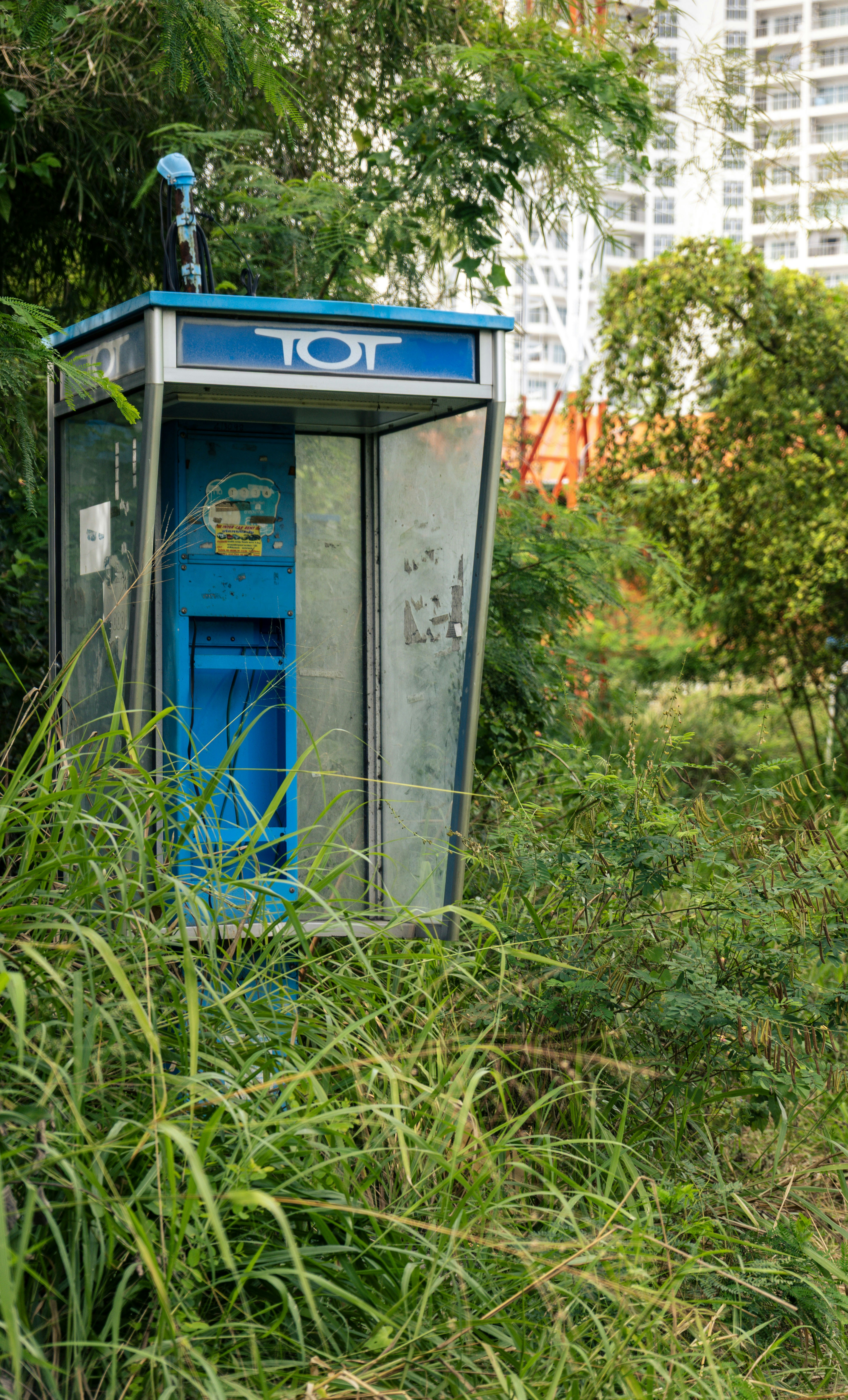 A neglected phone booth sits amongst the overgrown brush.