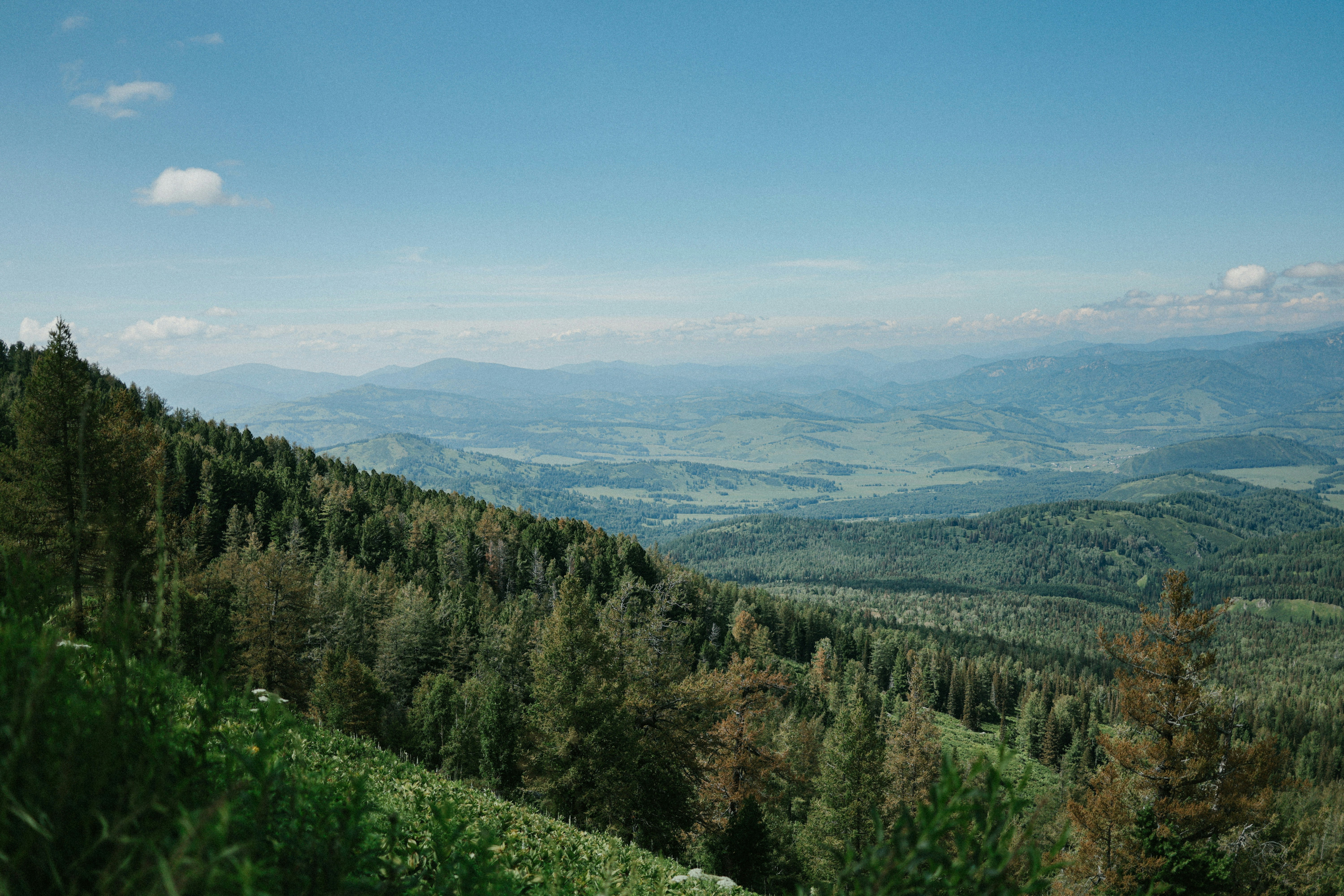 Montagnes et forêts sous un ciel bleu et clair.