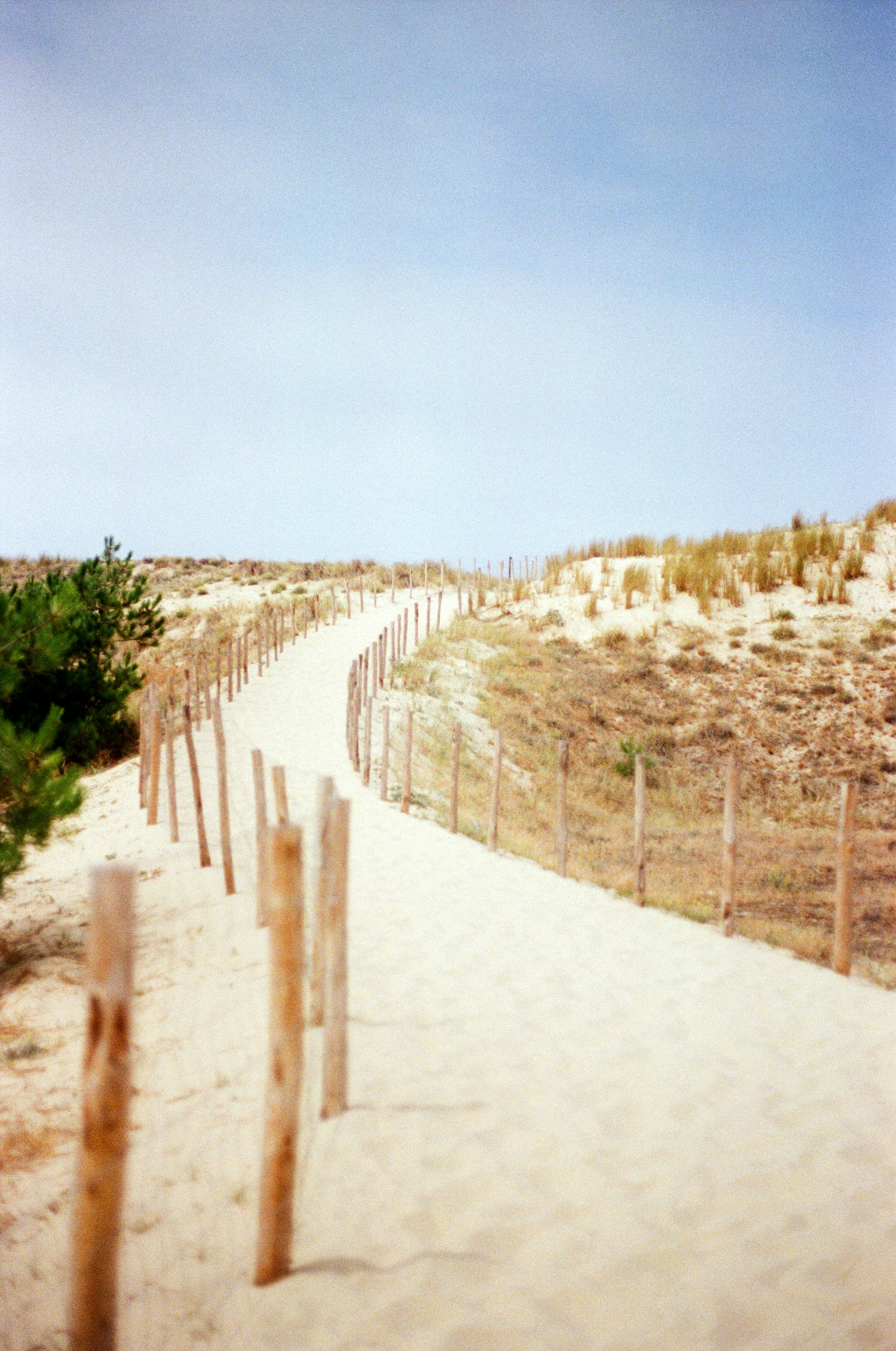 Photo by babikacharava