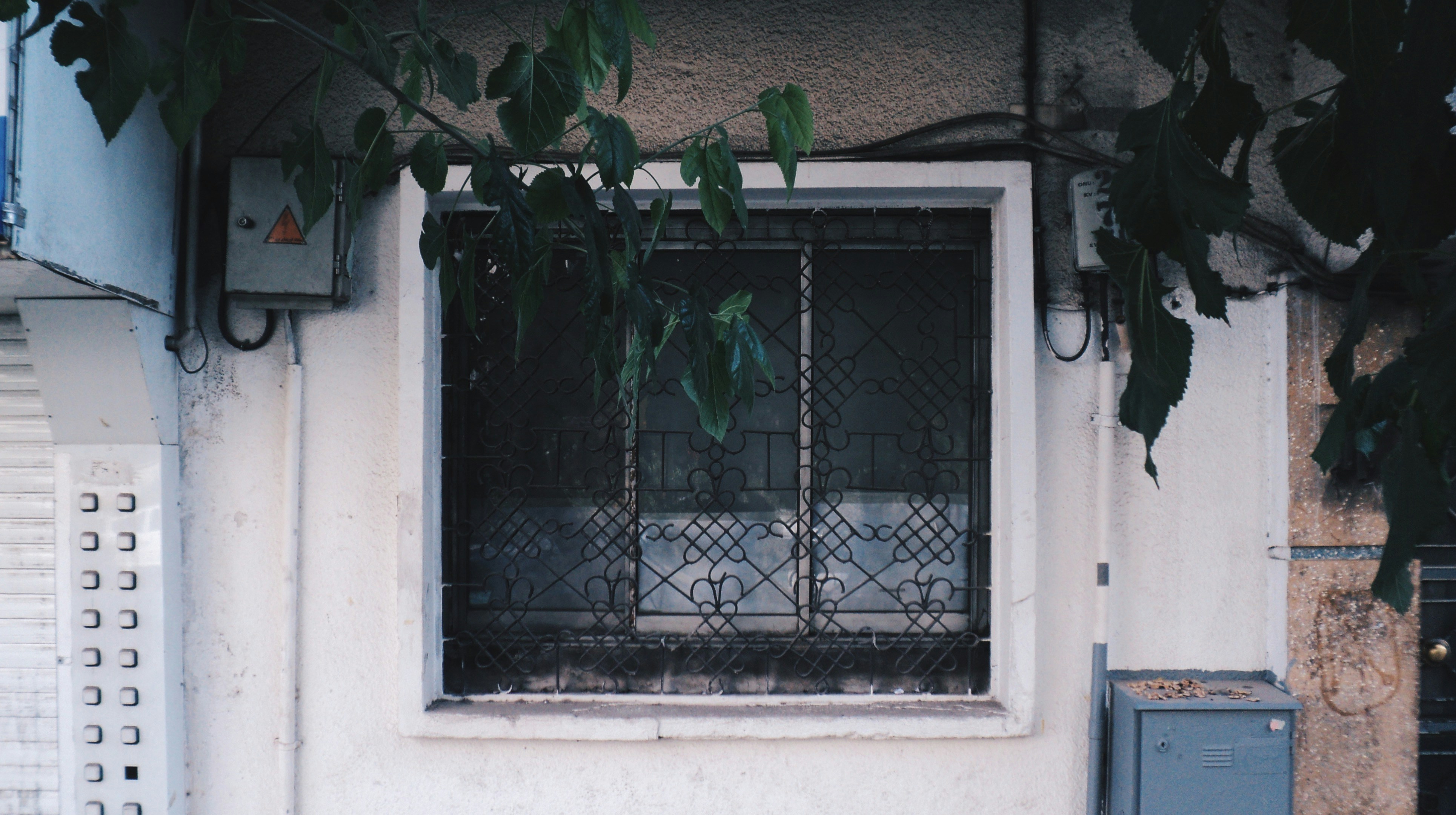 A grated window with foliage overlooking it.