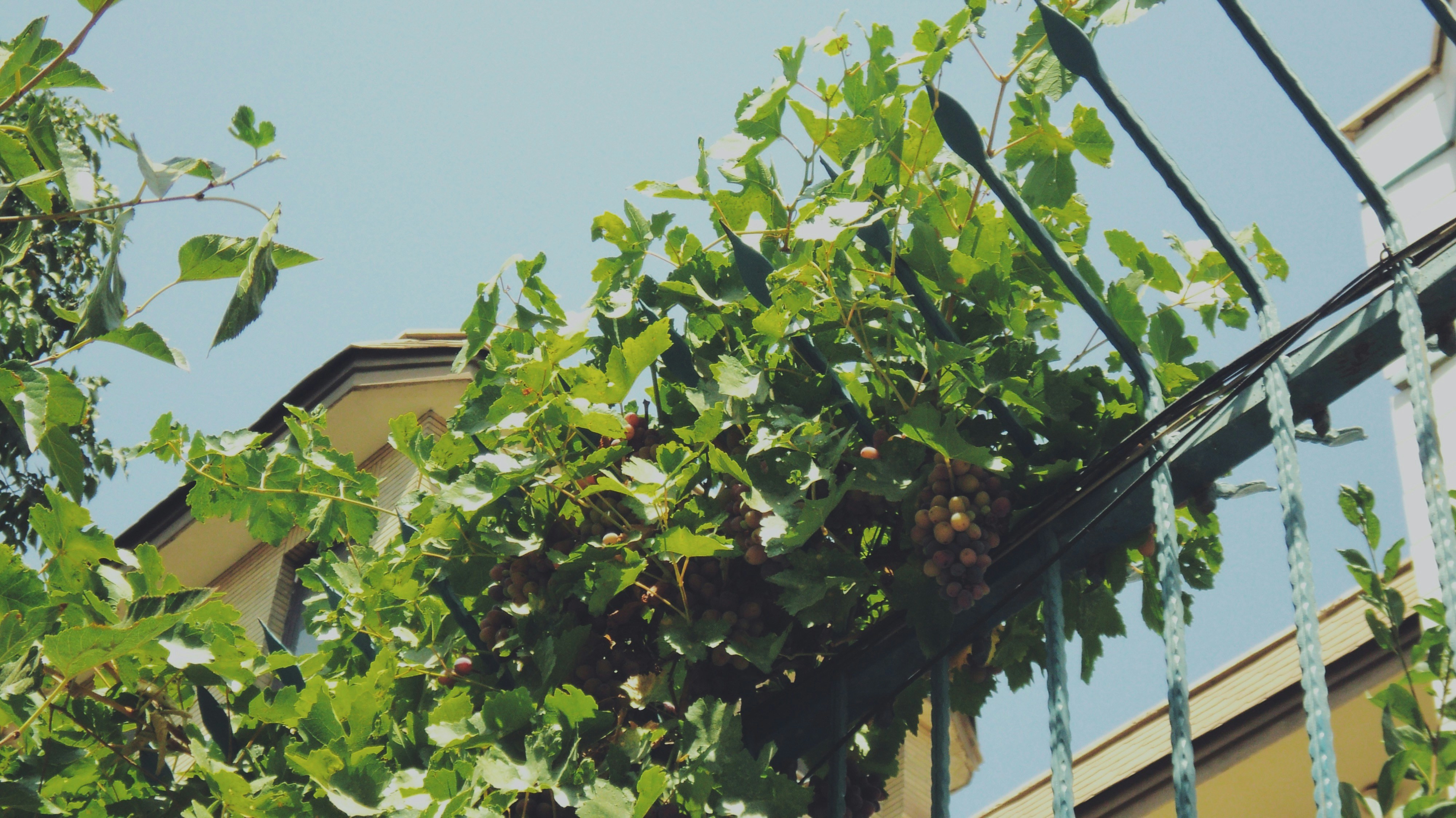 Photo by mdrezajalali