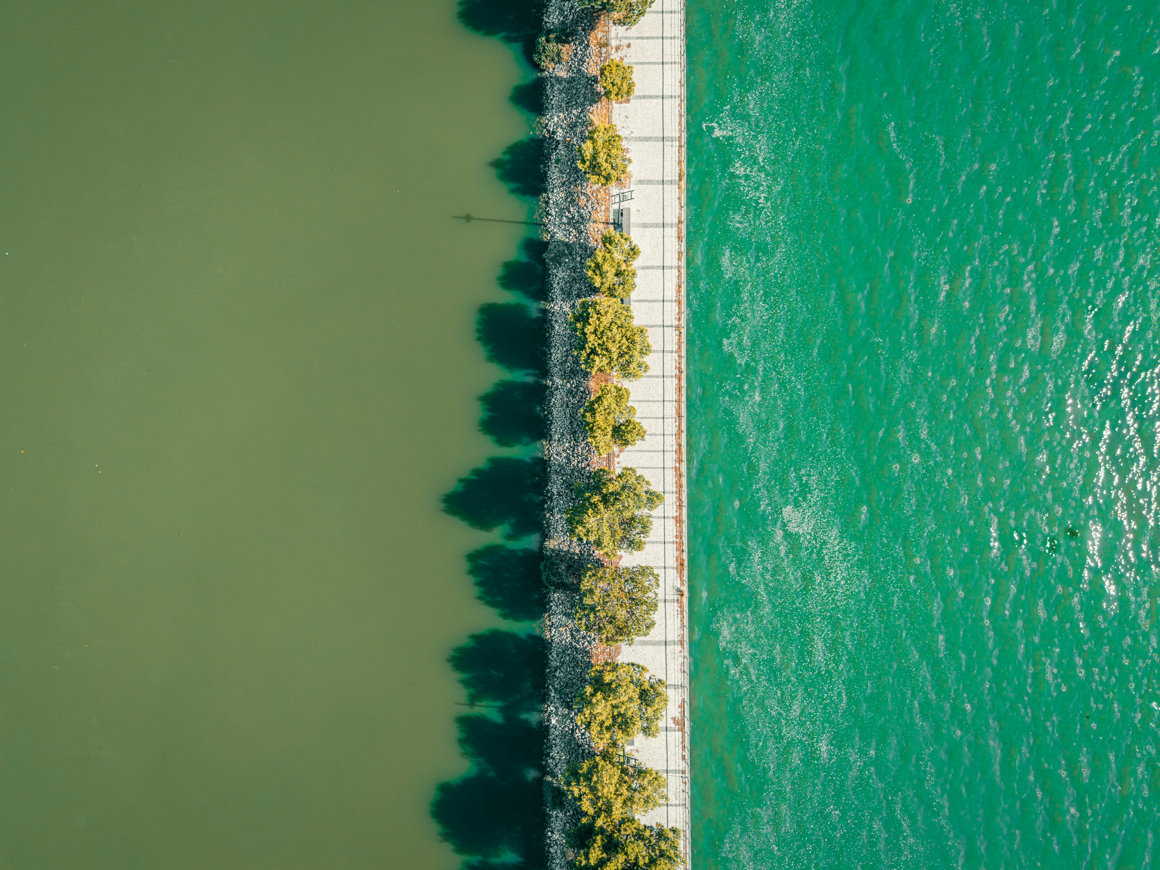 Trees cast shadows on a bridge over water.
