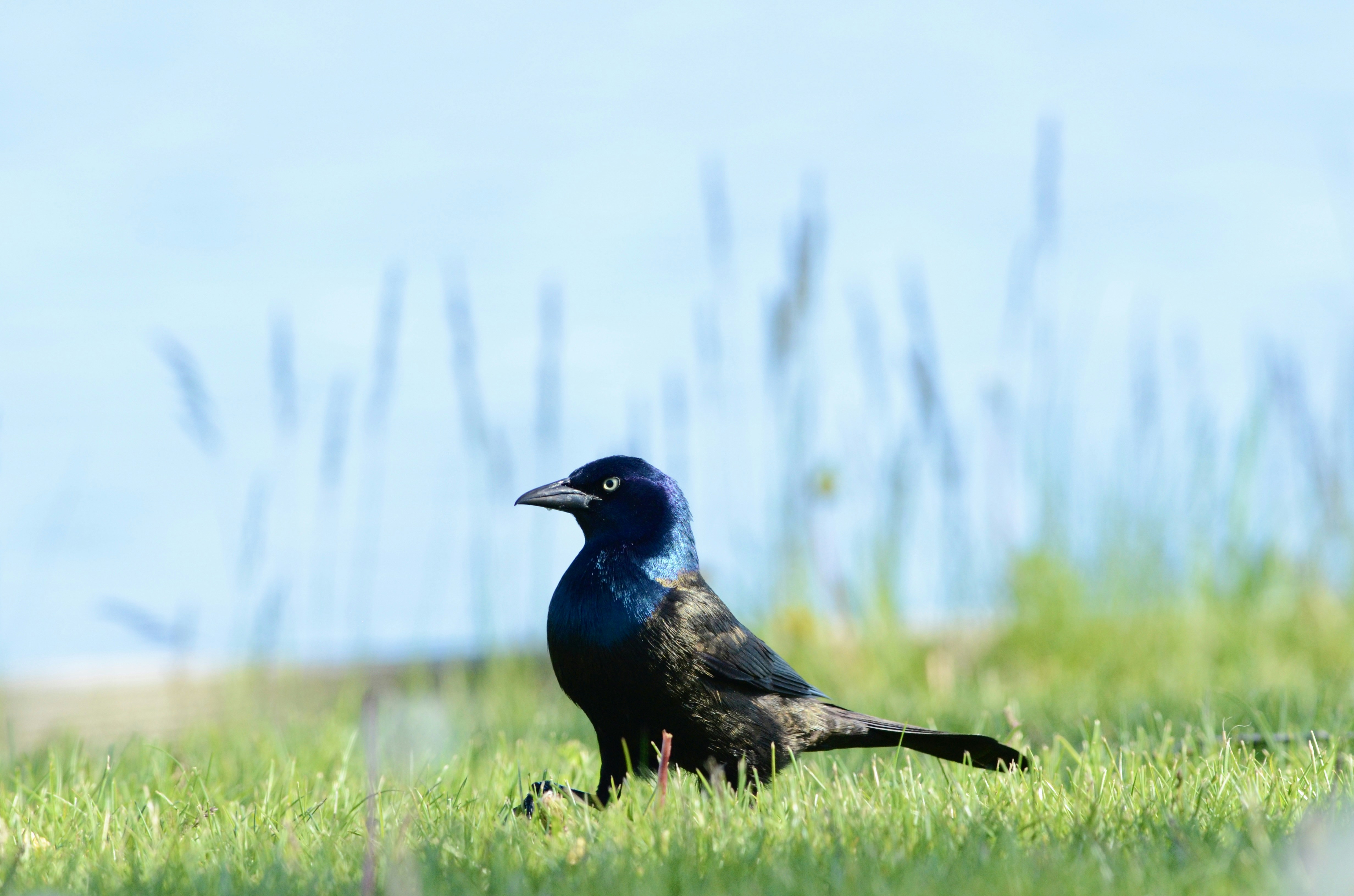 Photo by cam_ballard