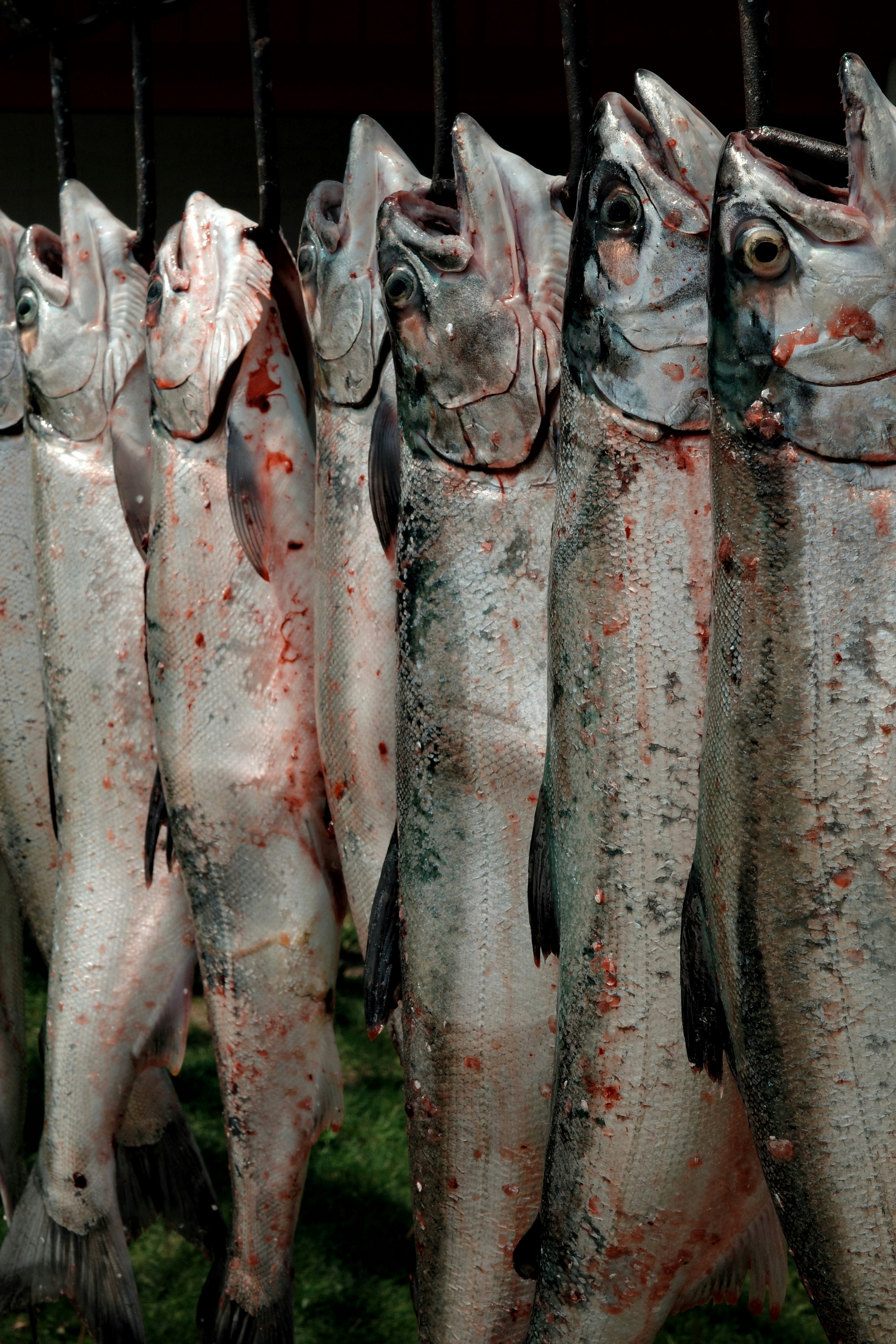 Photo by cam_ballard